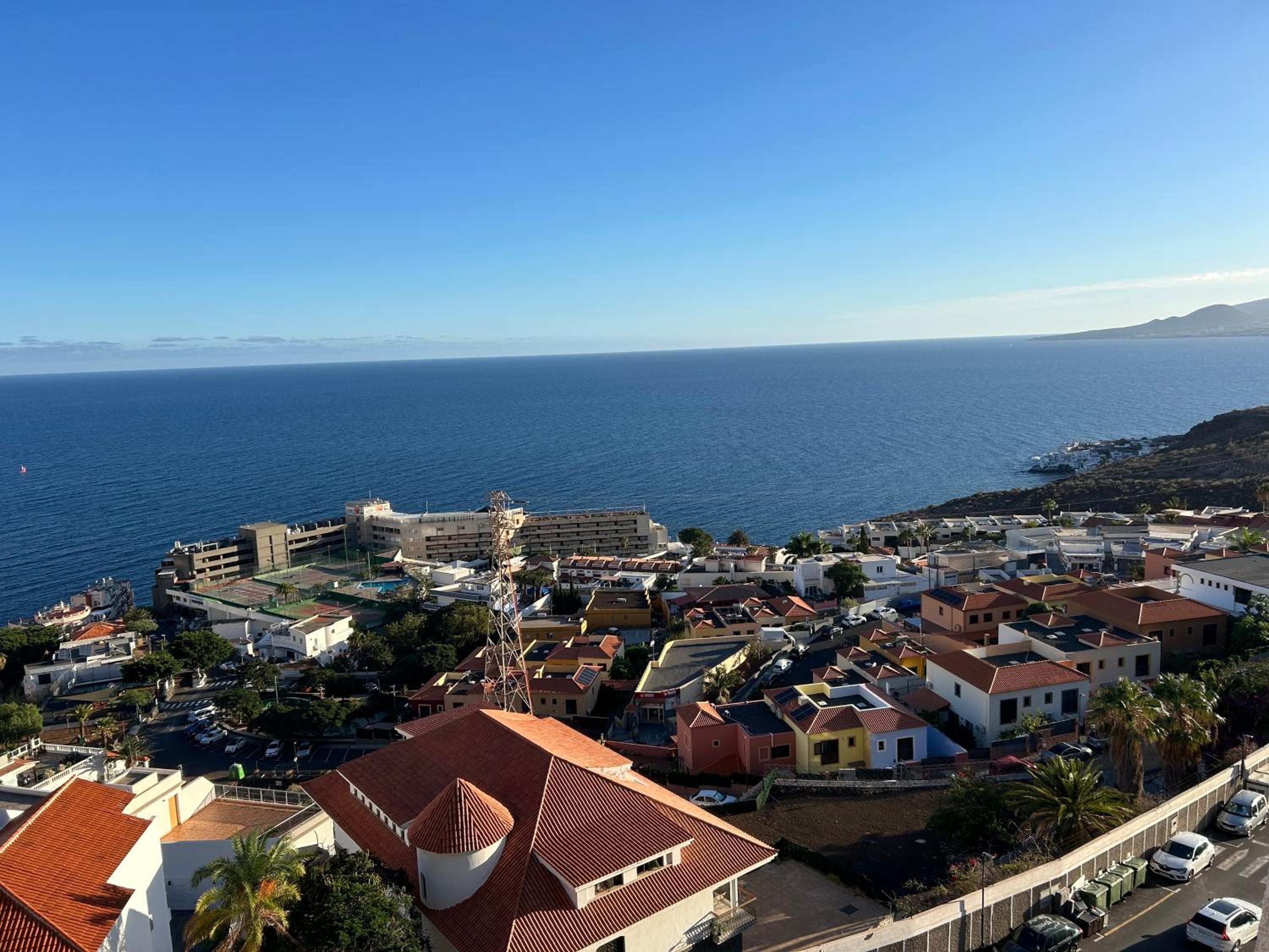 Tabaiba views