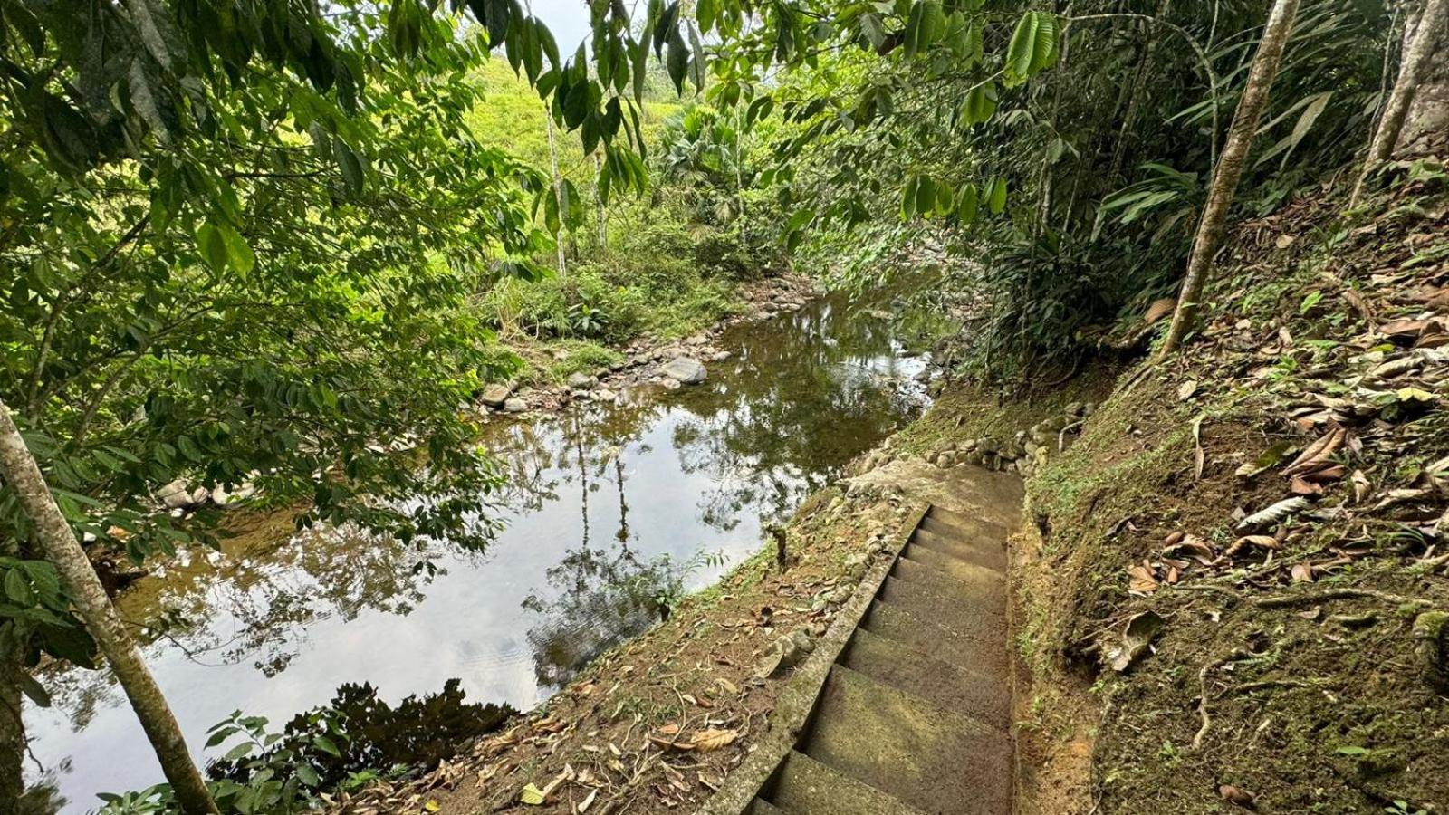 Quinta Leonela
