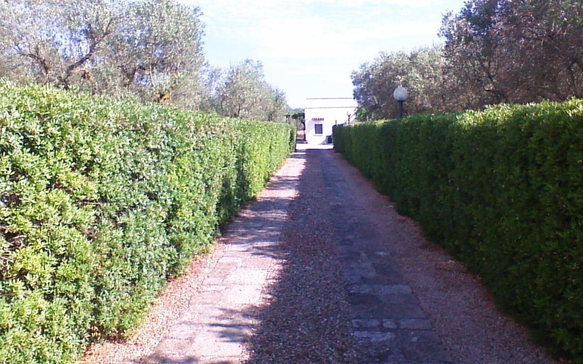 LA PILA masseria salentina con piscina 6 PL