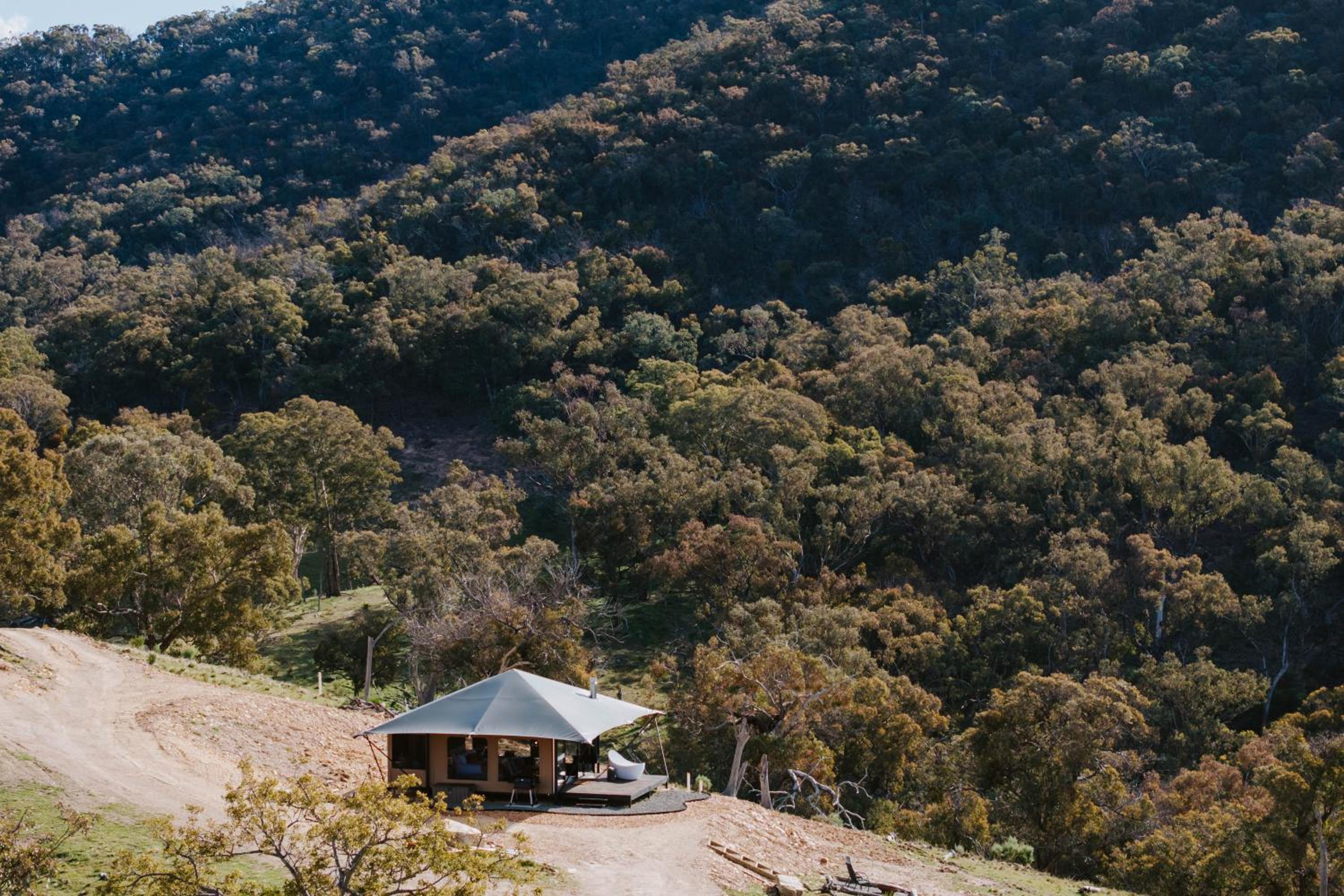 Wildnest Wilderness