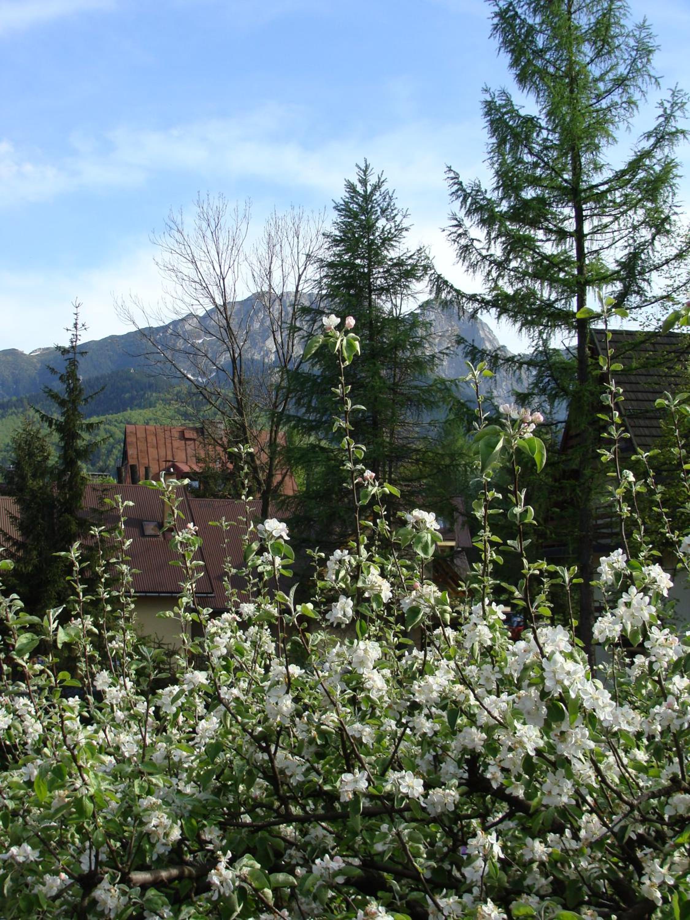 Photo 27