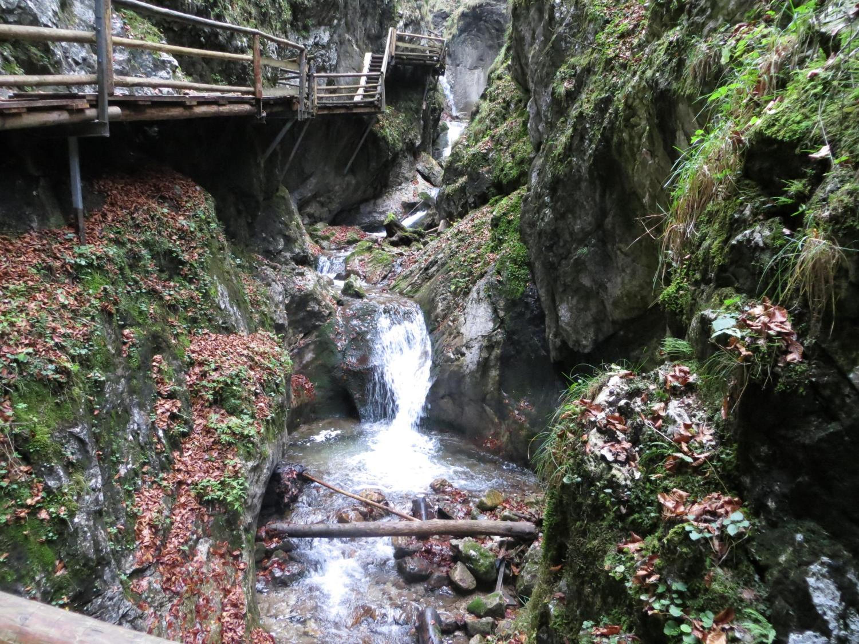 Photo 48