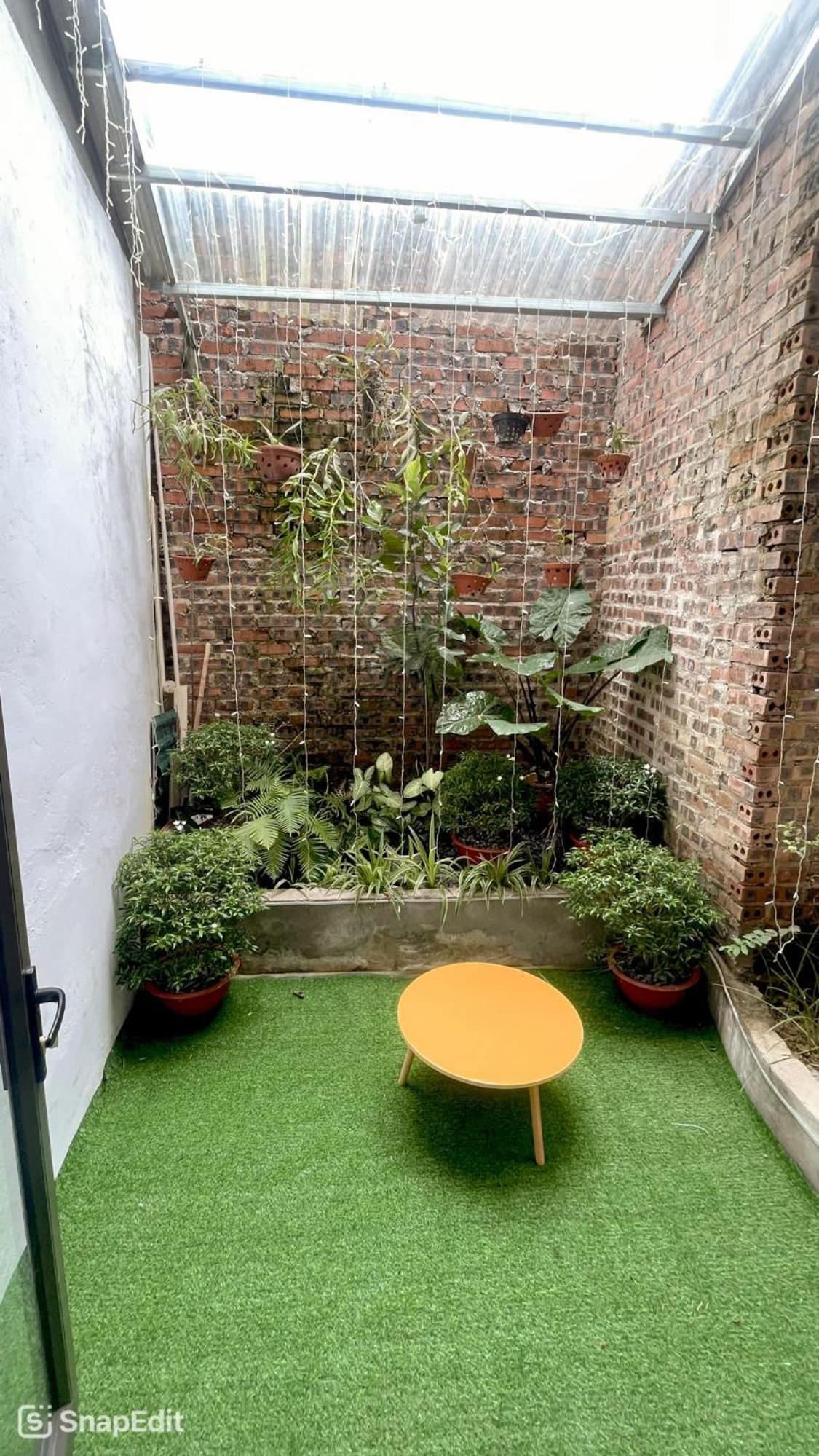 cat homestay view 5