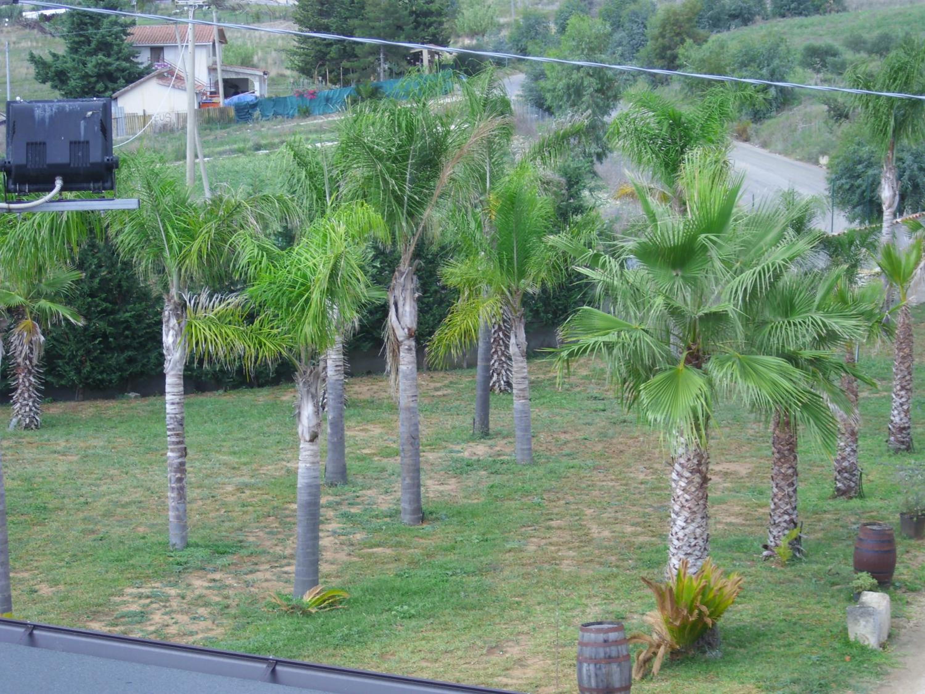 B&B Oasi, photo 5