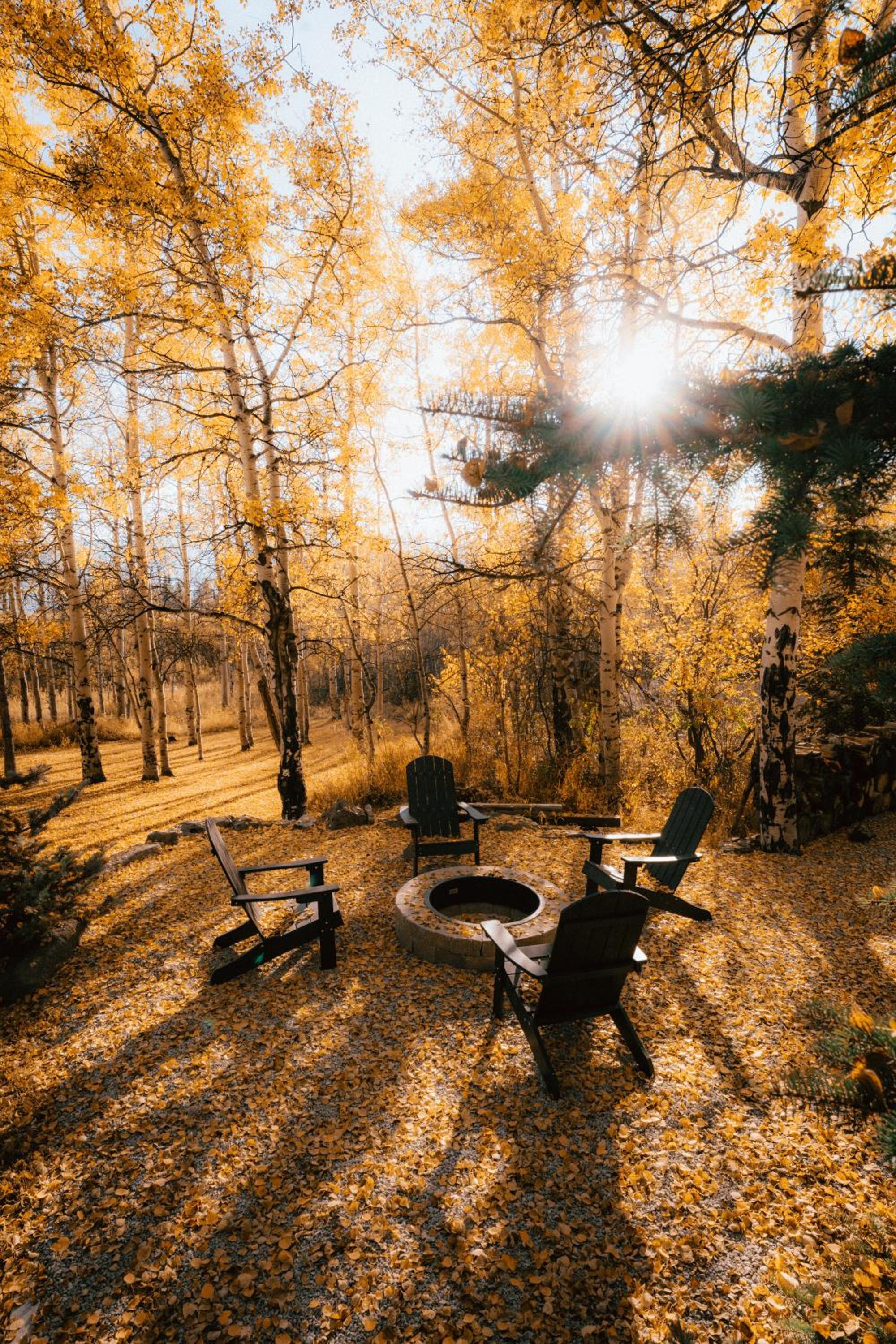 20 min to Yellowstone, Family Cabin, Fire Pit view 5