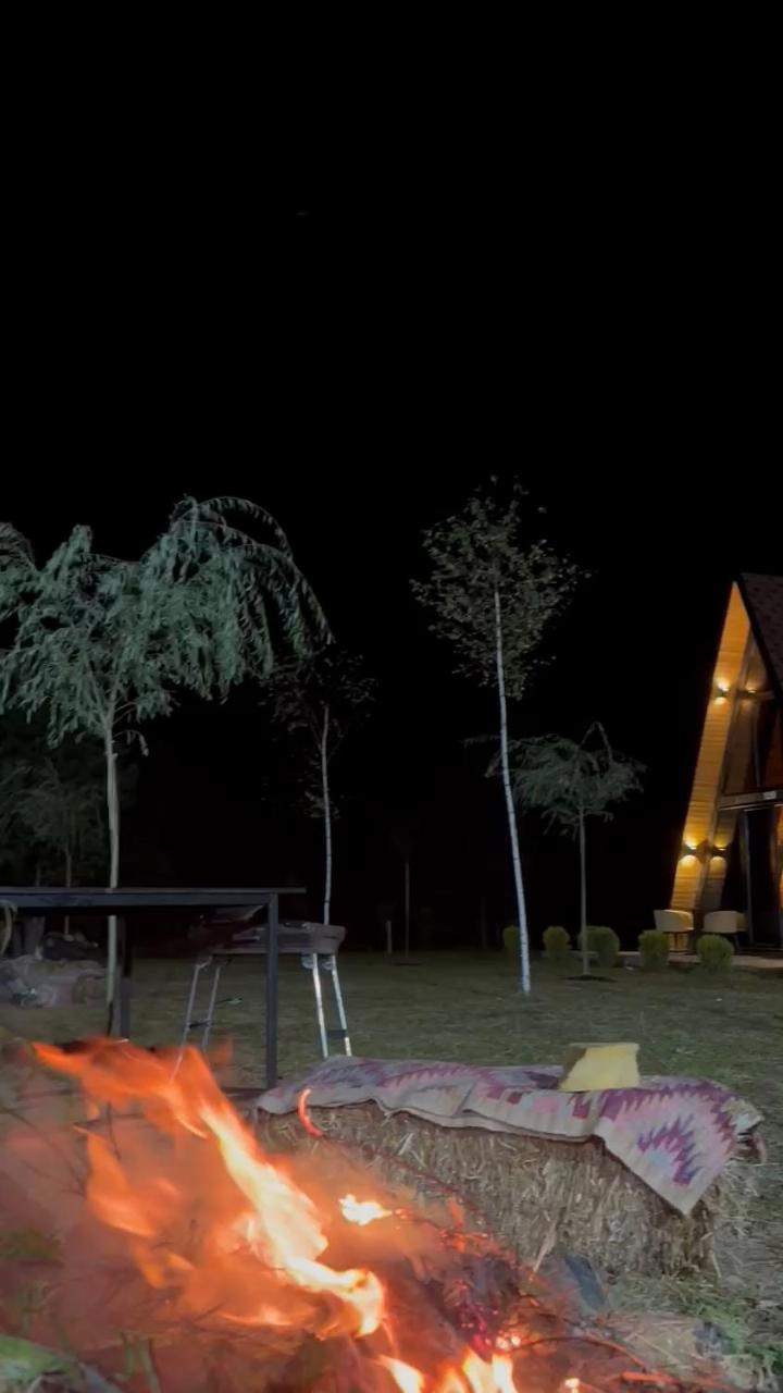 Vila Alpine Arlon Gjinar