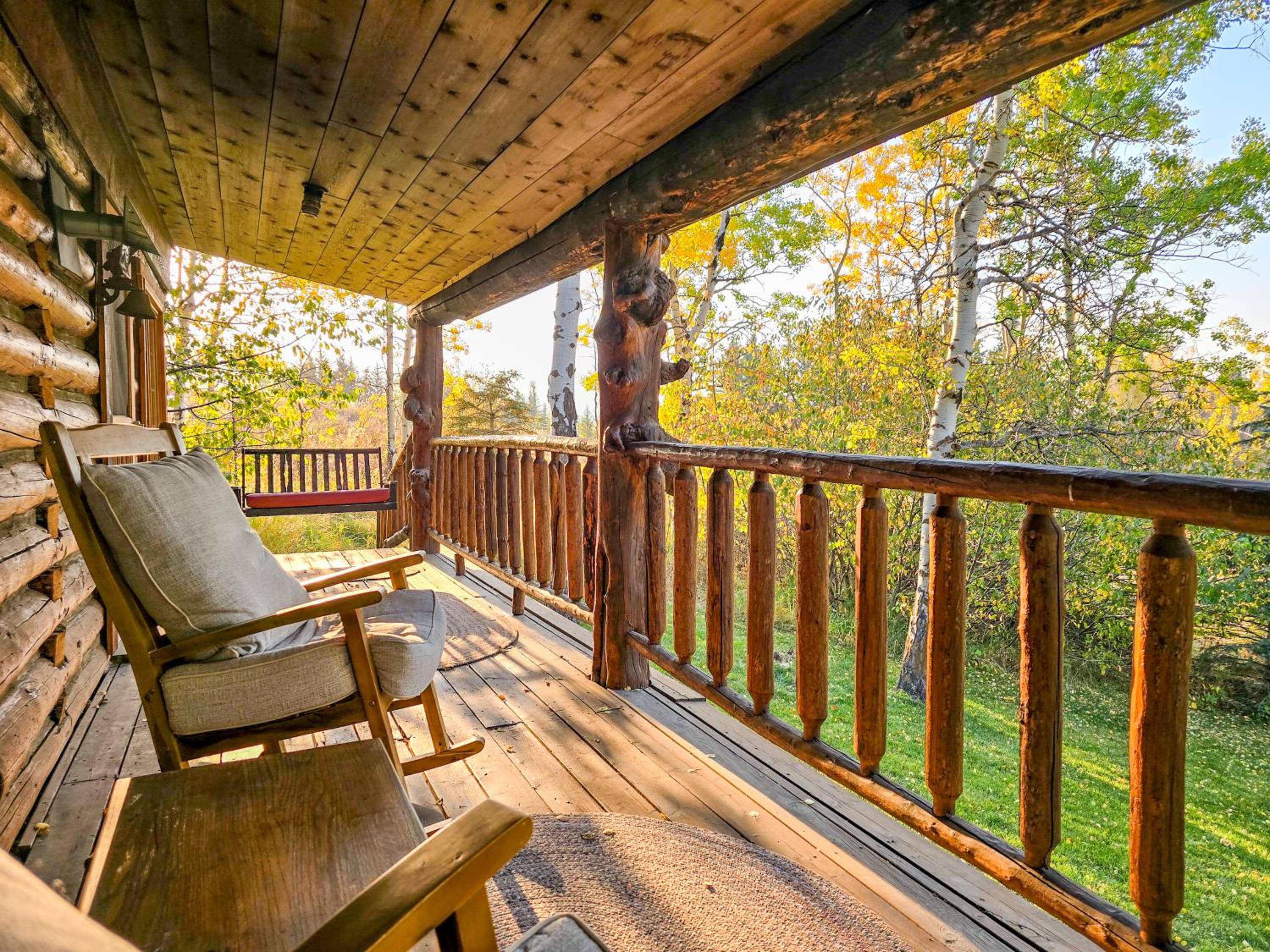 20 min to Yellowstone, Family Cabin, Fire Pit view 4