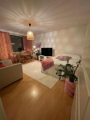 City apartment Evakko