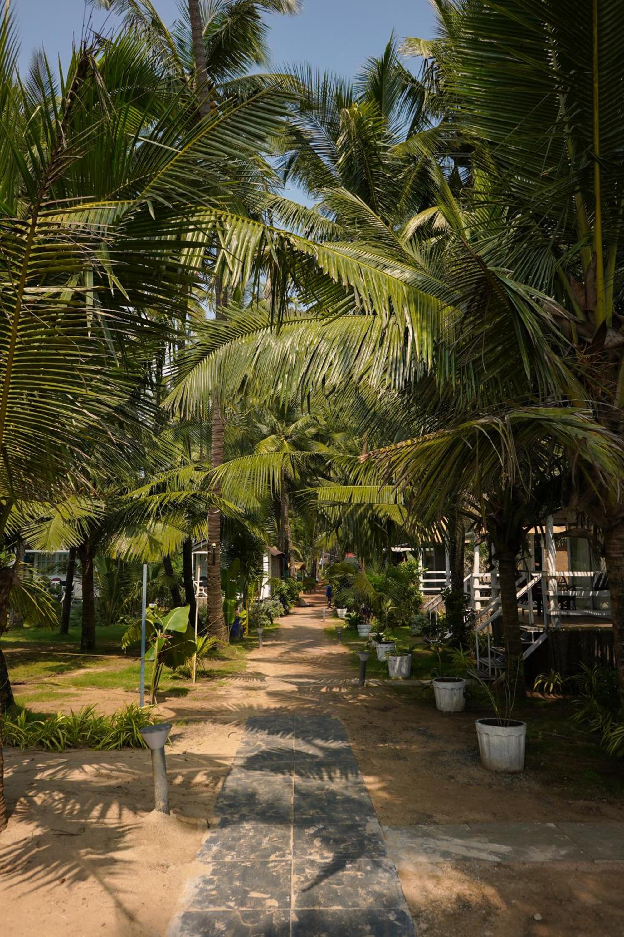 Beachfront Bliss