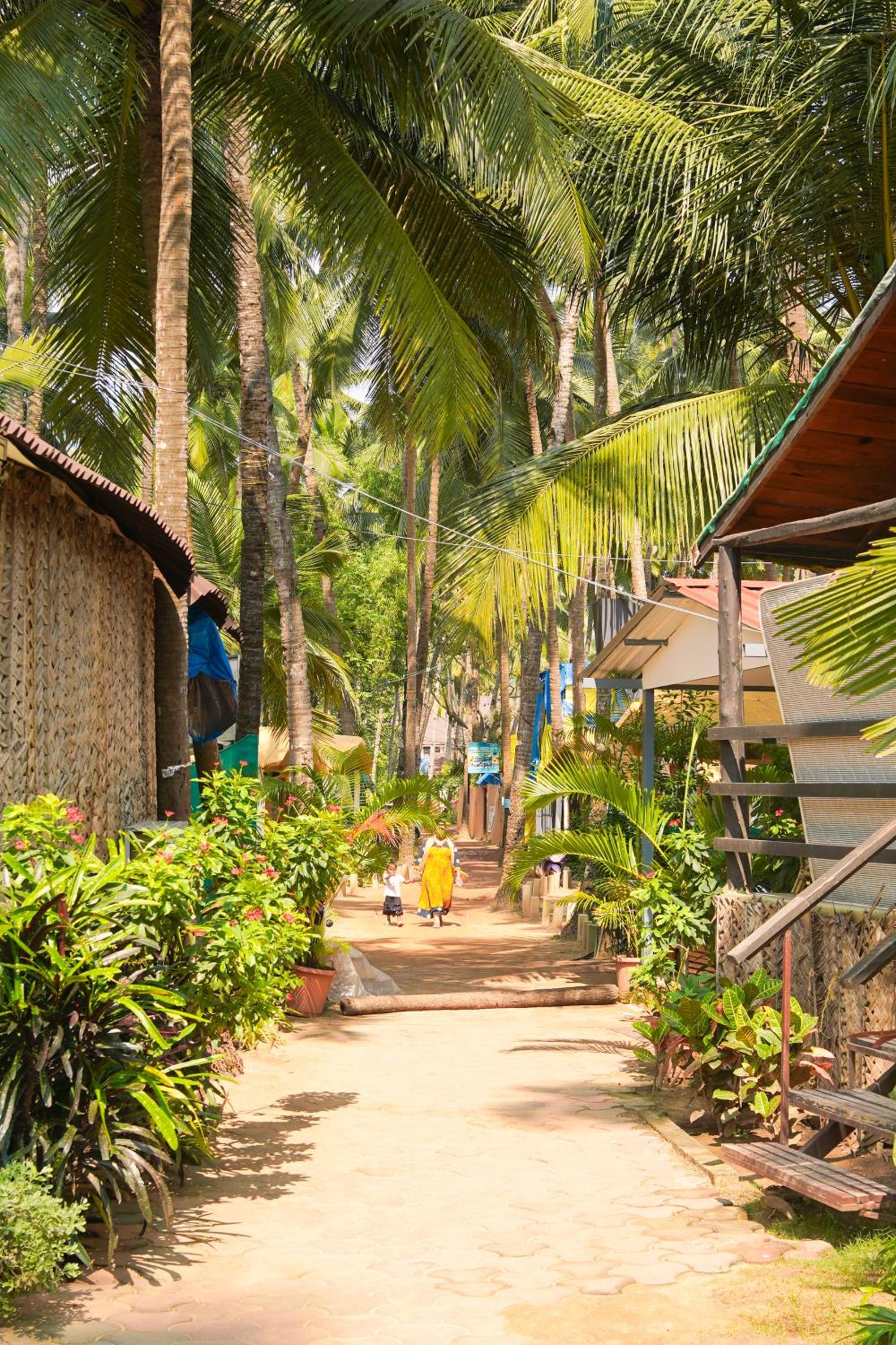 Beachfront Bliss