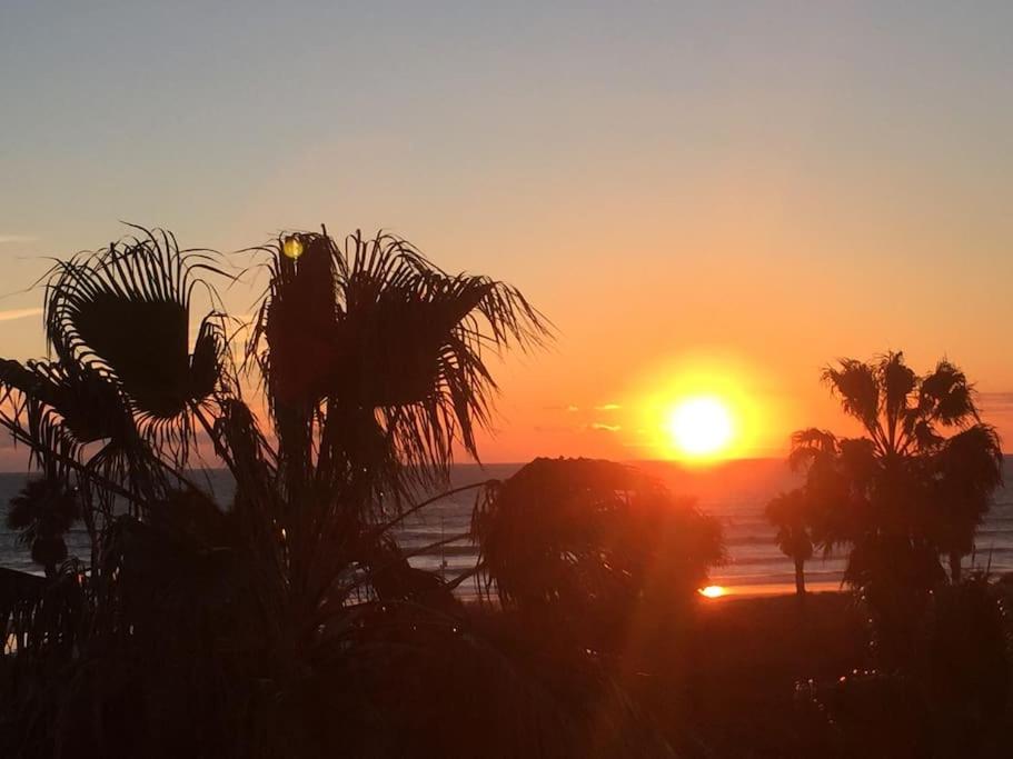 COSTA BALLENA El Paraiso