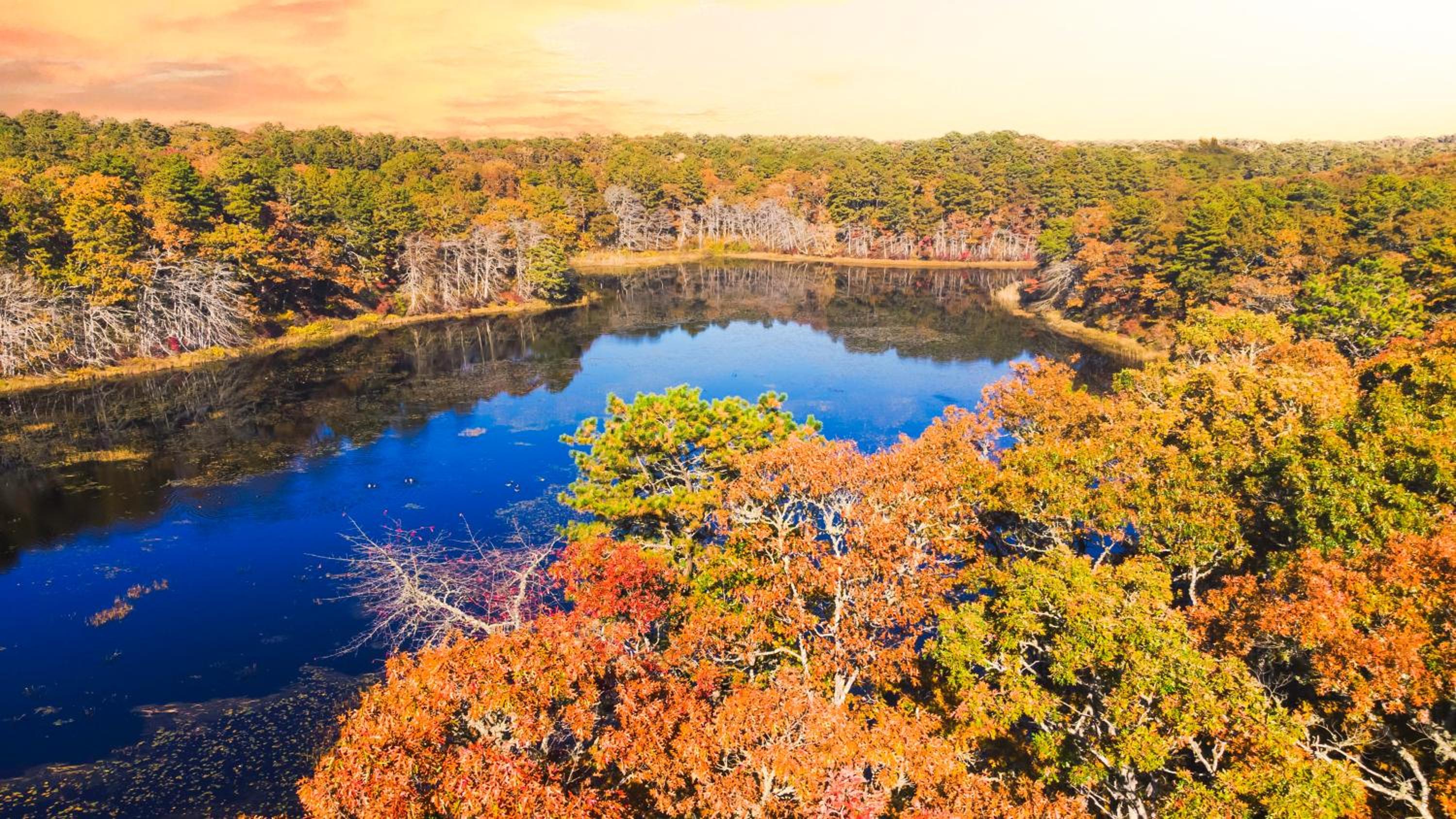 Cape Cod Villa view 2