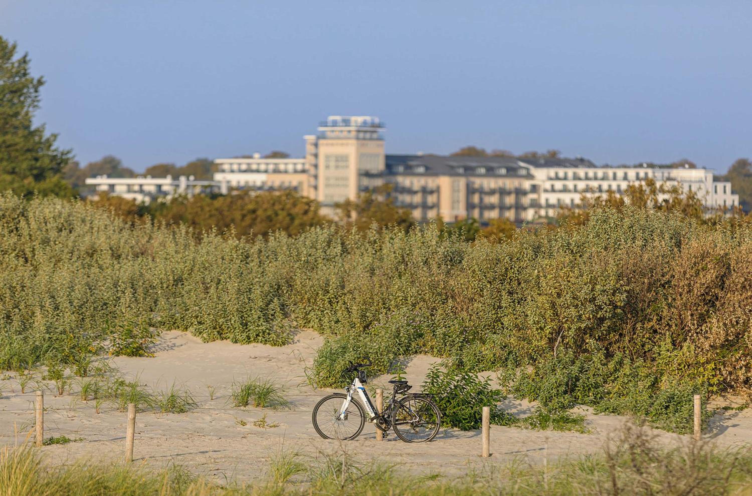 5-Sterne-Ferienwohnung Windröschen im Ostseebad
