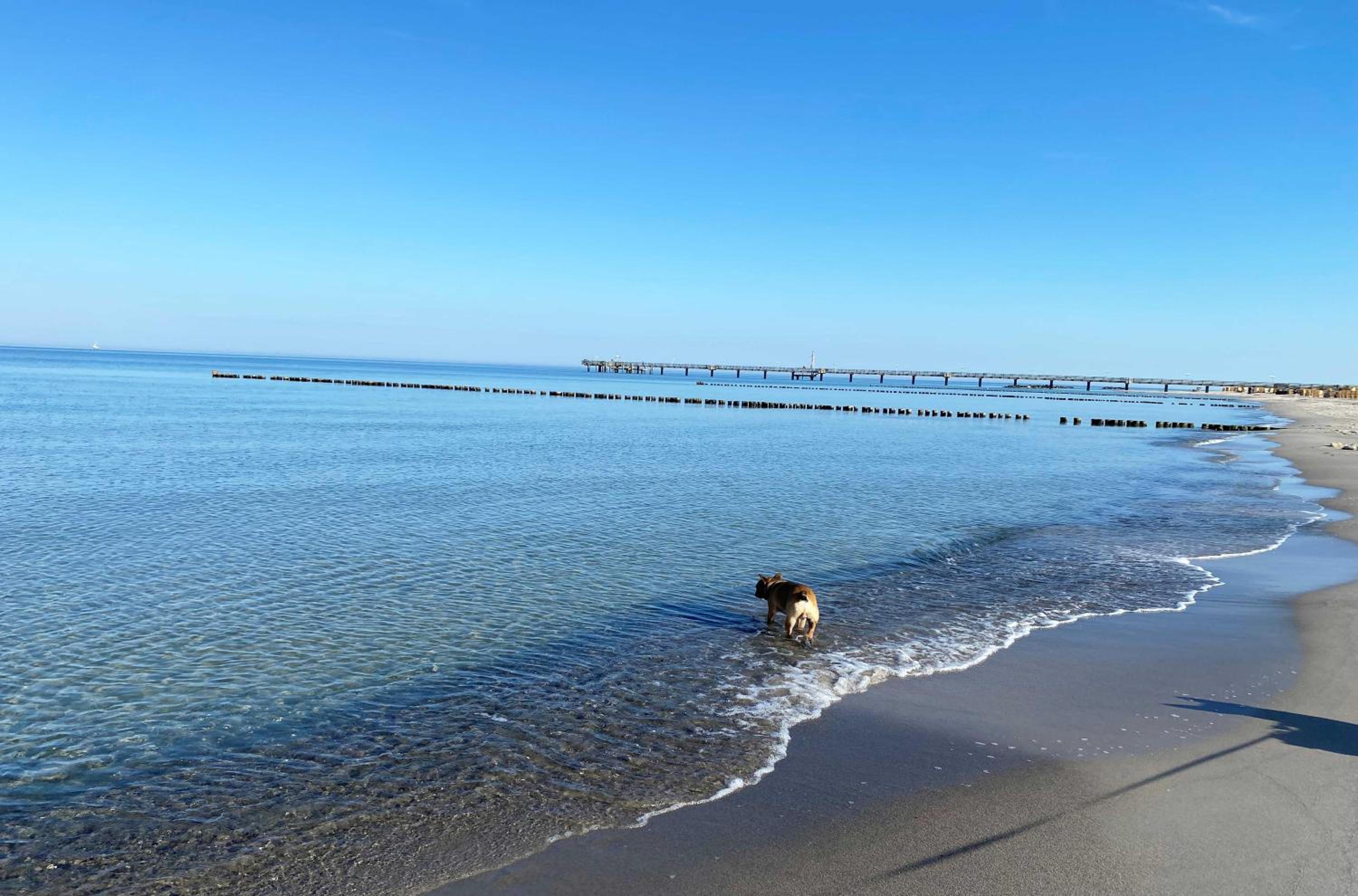5 Sterne Ferienwohnung Strandflair im Strandhaus