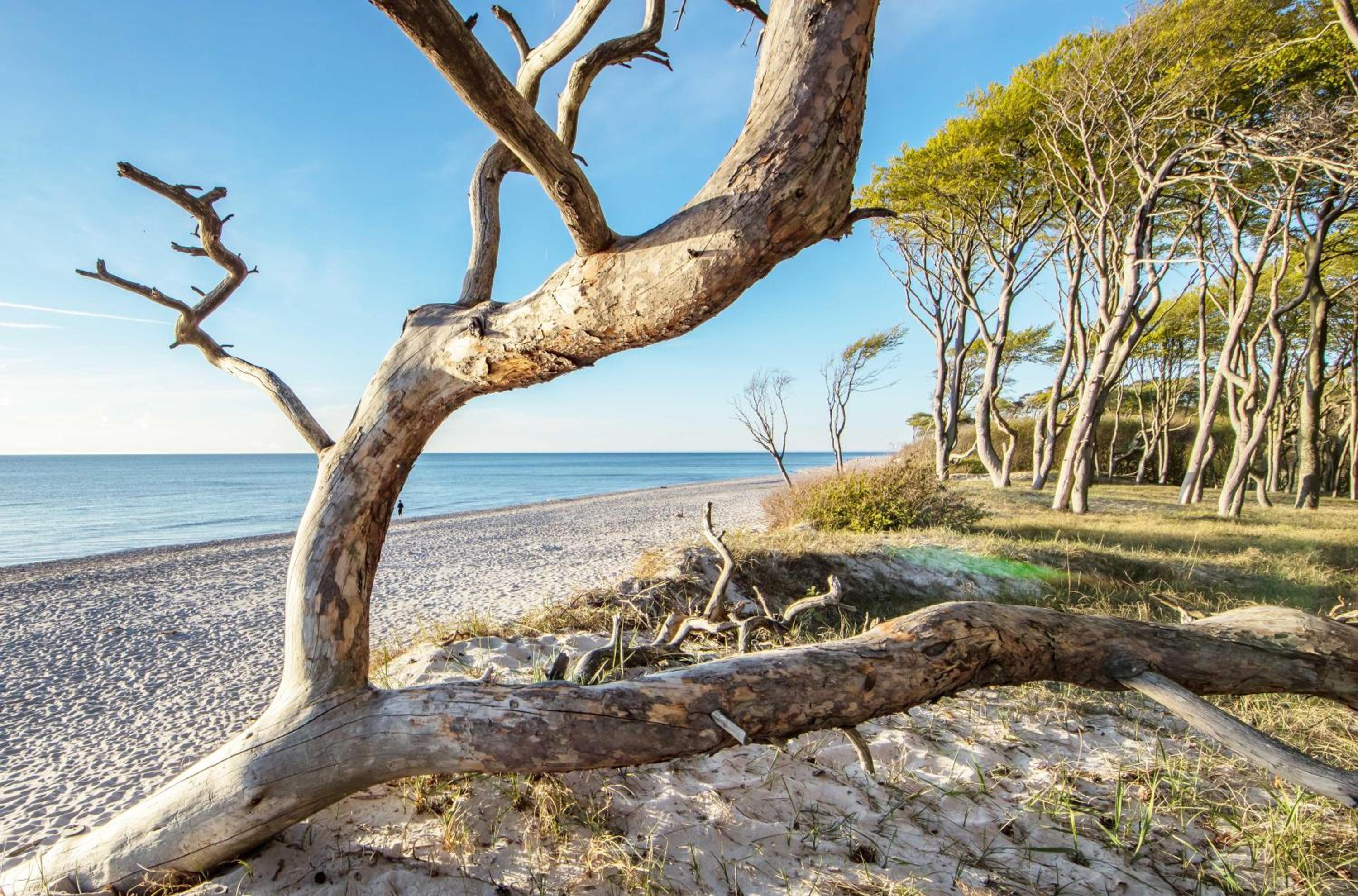 5 Sterne Ferienwohnung Boddenidylle-modernes Juwel zwischen Ostsee und Bodden