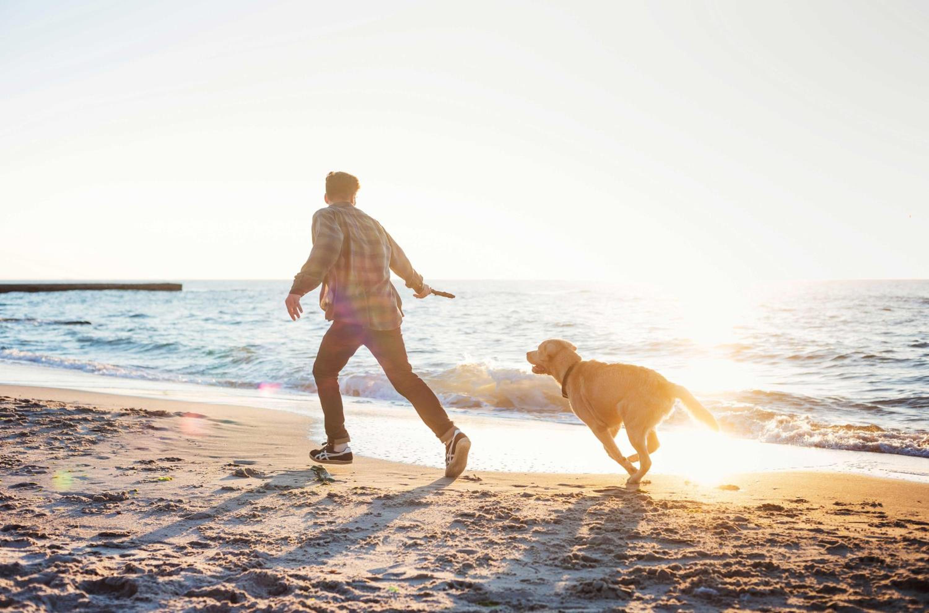 Kleine Stranddüne im Strandhaus mit Balkon
