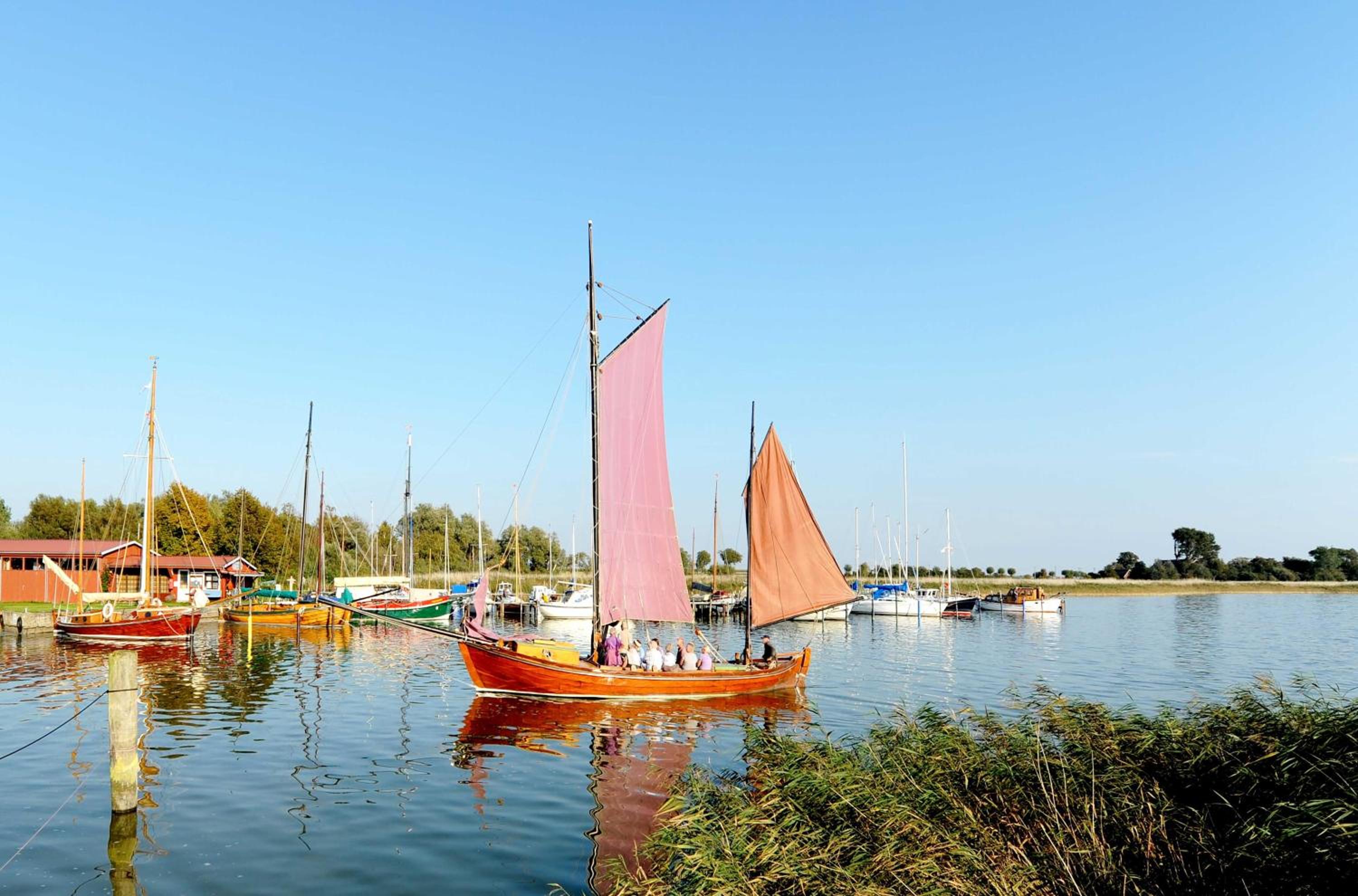 Große Strandmuschel - 5-Sterne Ferienwohnung zwischen Ostsee und Bodden