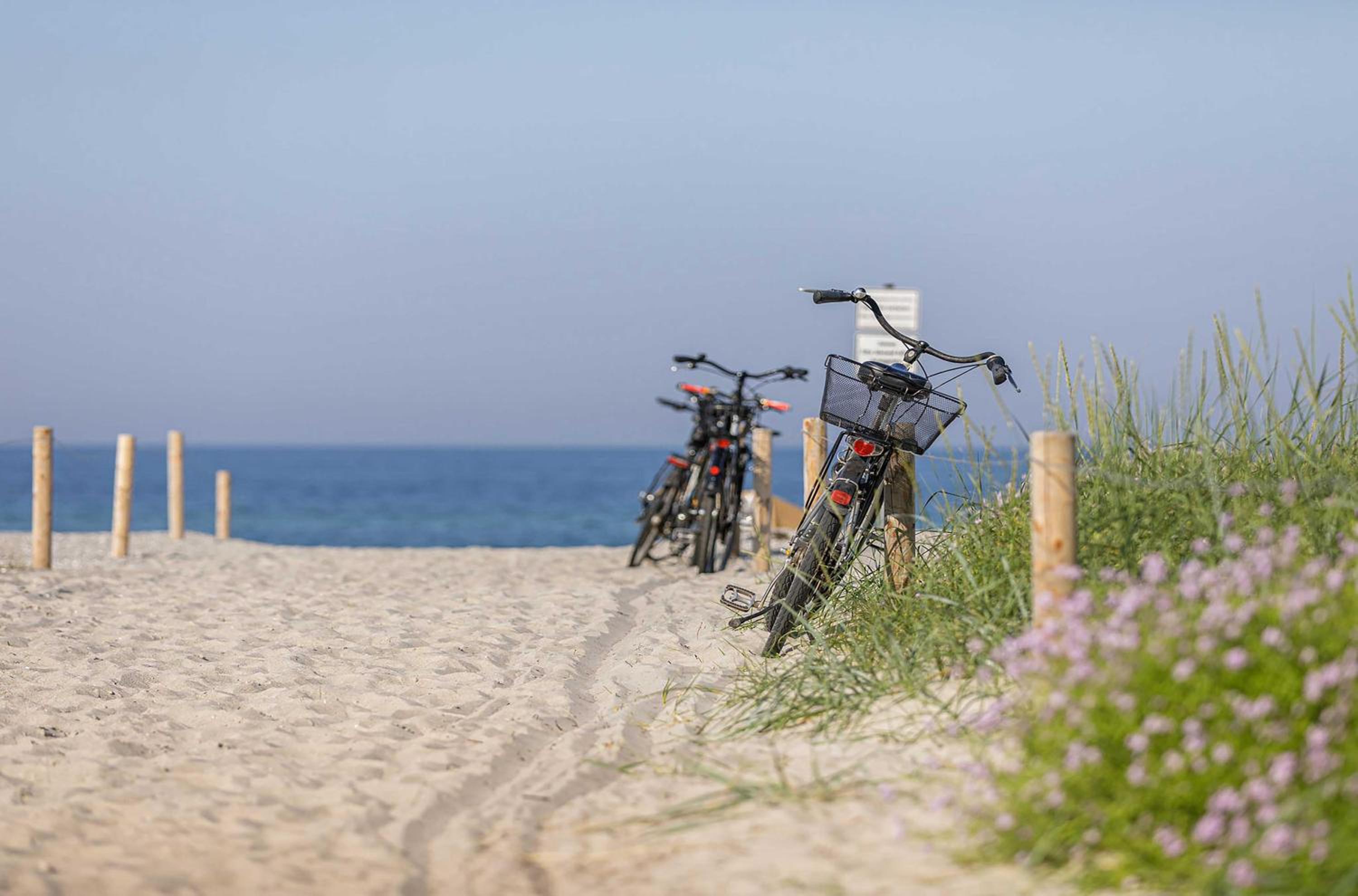 Sandwelle 5 Sterne Apartment mit Boddenblick