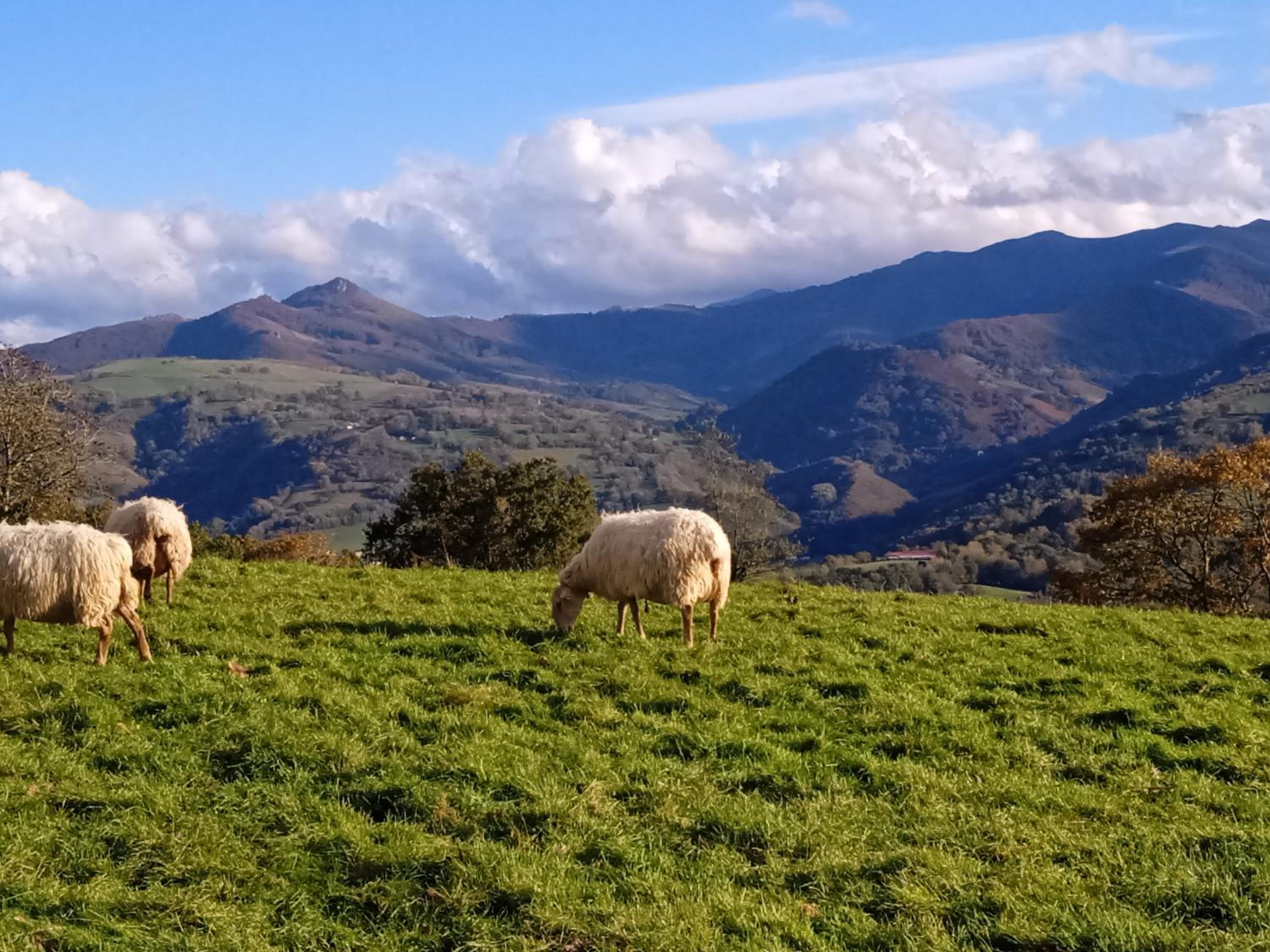 Apartamento Larrazu Agroturismo Baztán