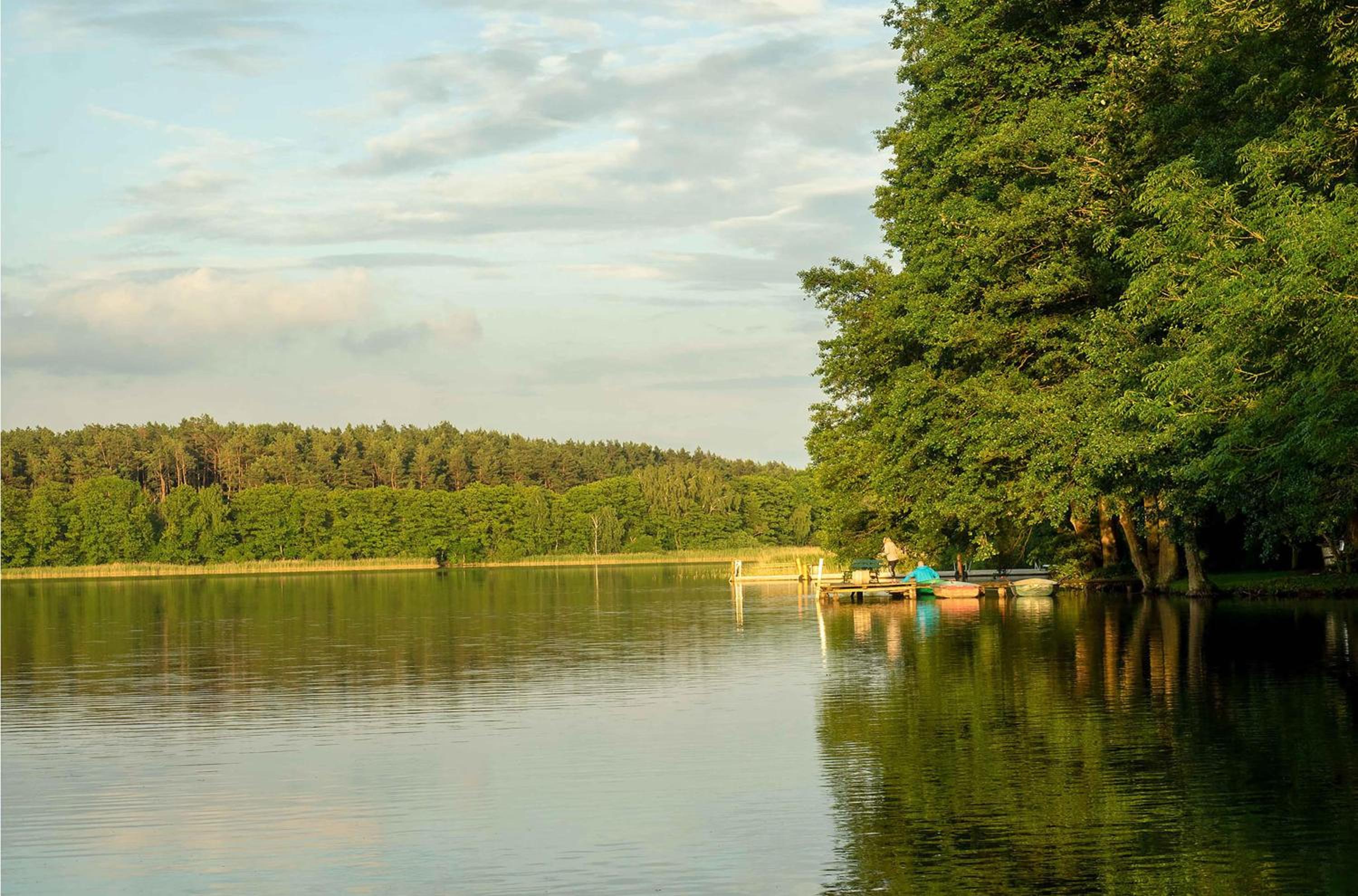 Ferienwohnung Stockente - Entspannung am Loppiner See