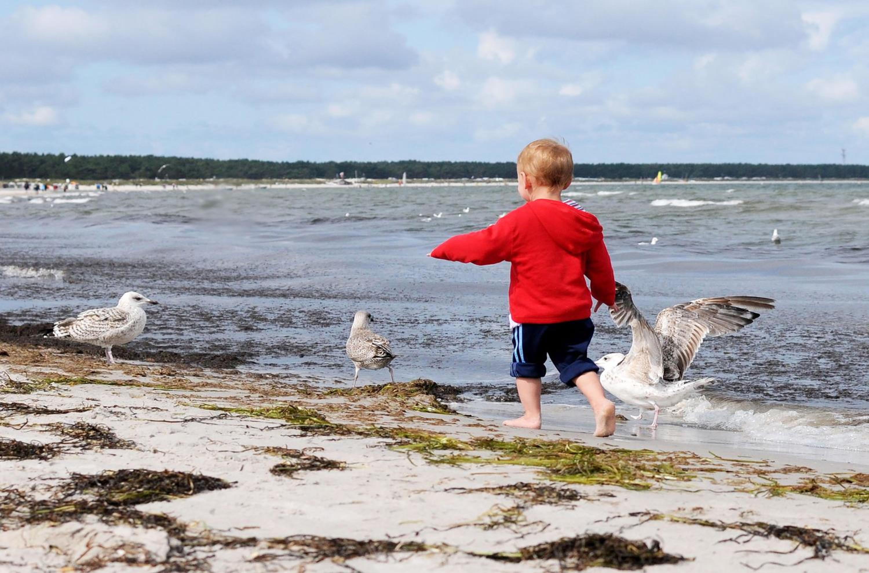 Bernsteinwind an der Seebrücke Zingst