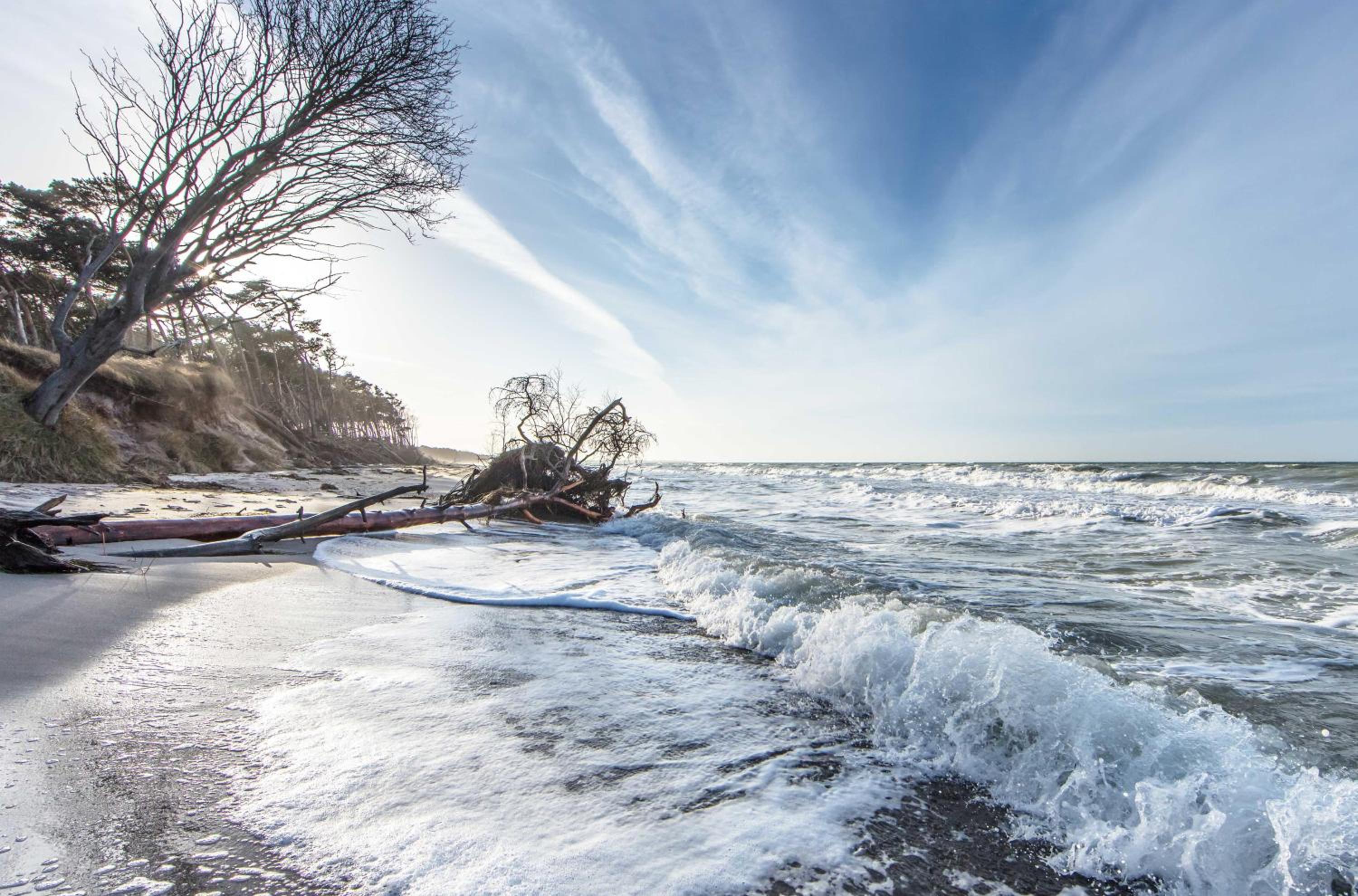 Bernsteinwind an der Seebrücke Zingst
