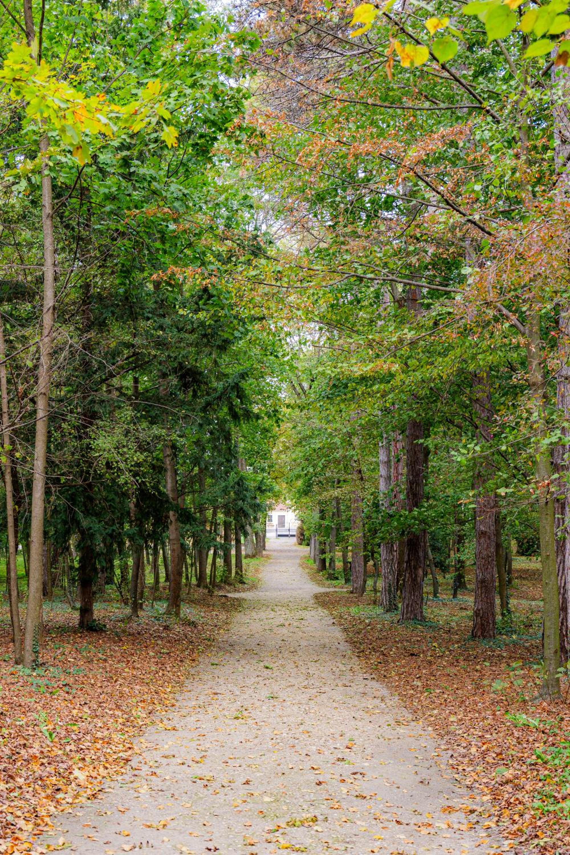 Villa Rose close to Vienna & Airport