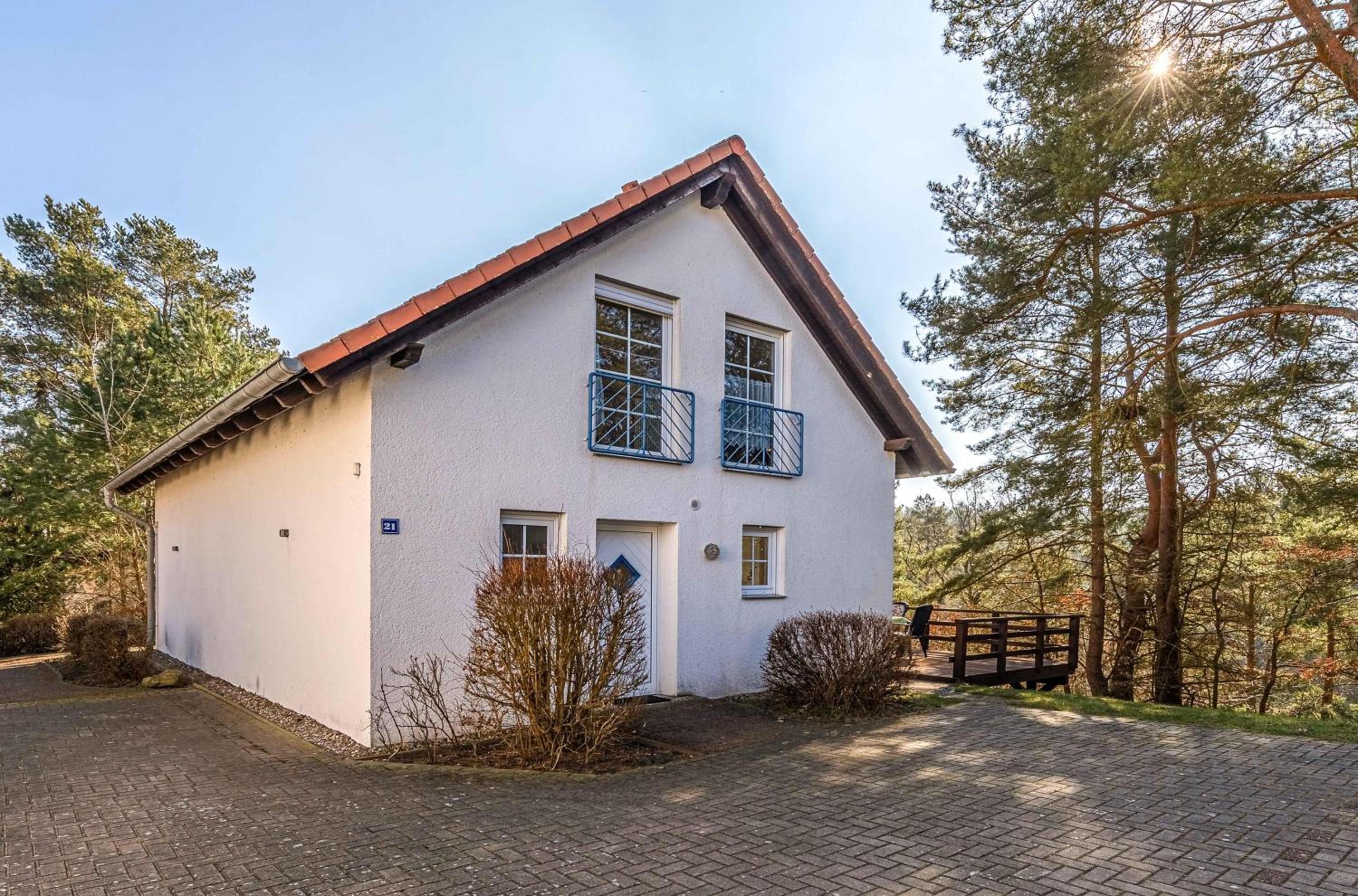 Waldgeflüster am Plauer See
