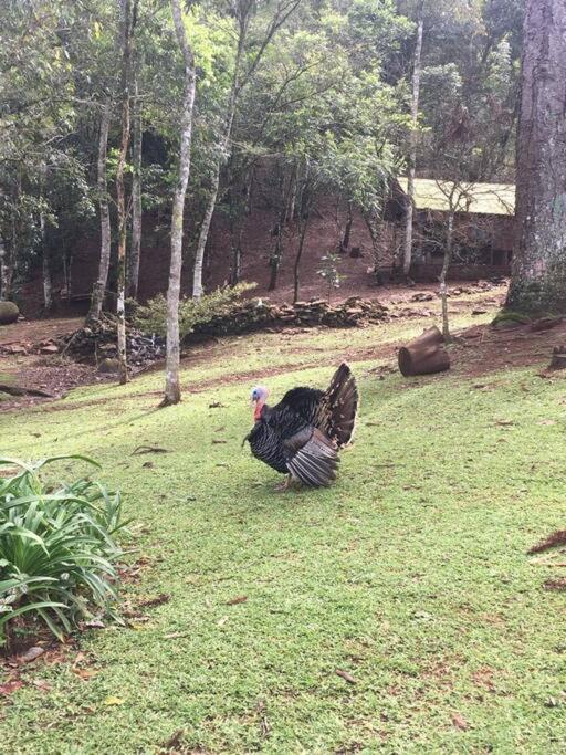 SÍTIO Canjerana em Gramado