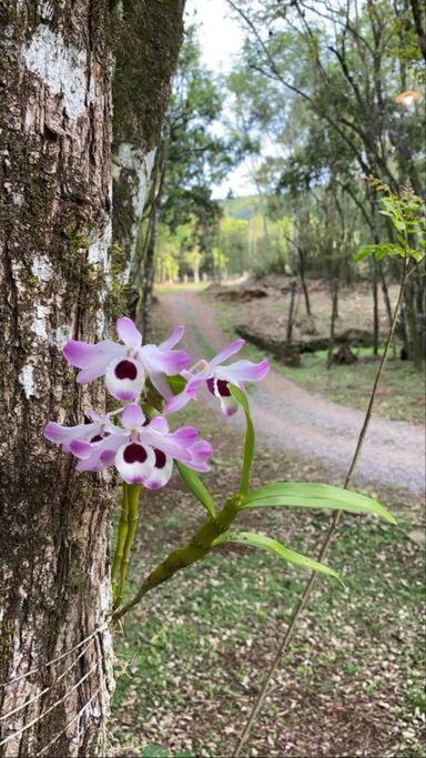 SÍTIO Canjerana em Gramado