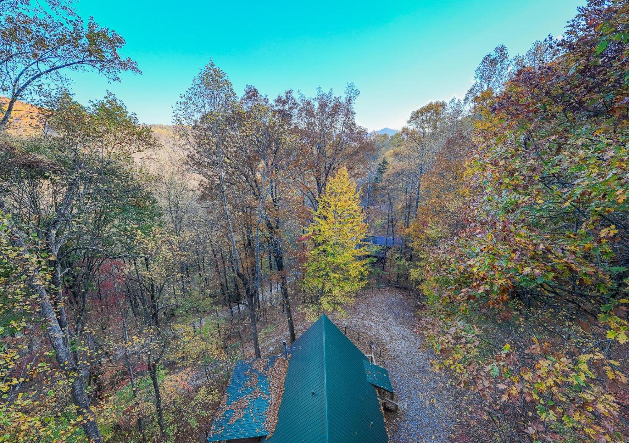 Treetops Retreat
