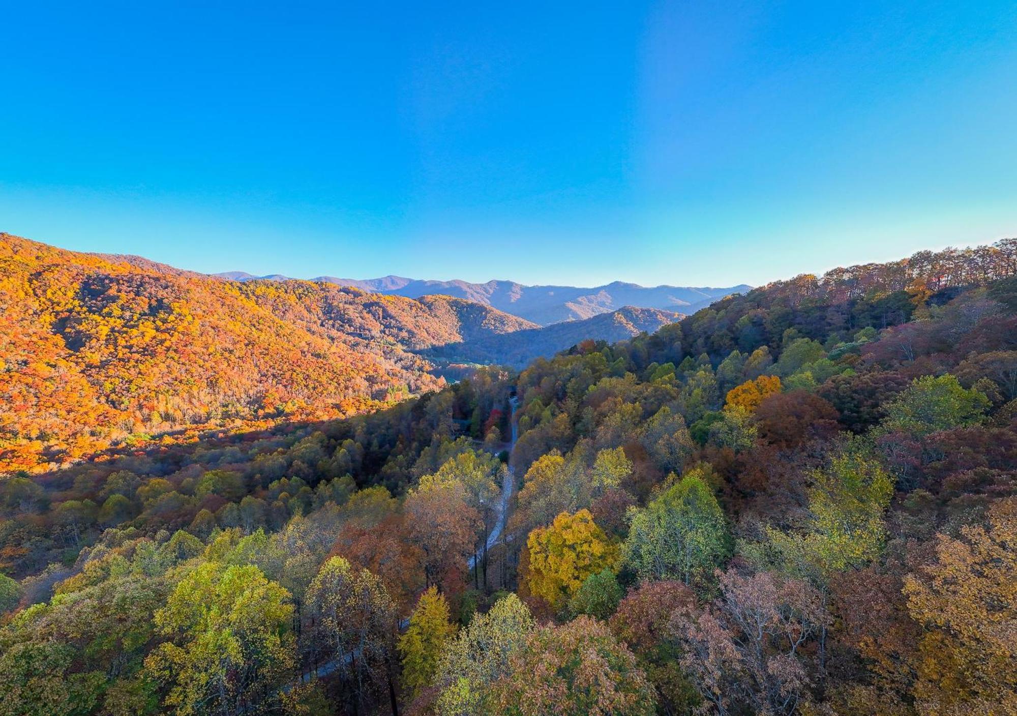 Treetops Retreat