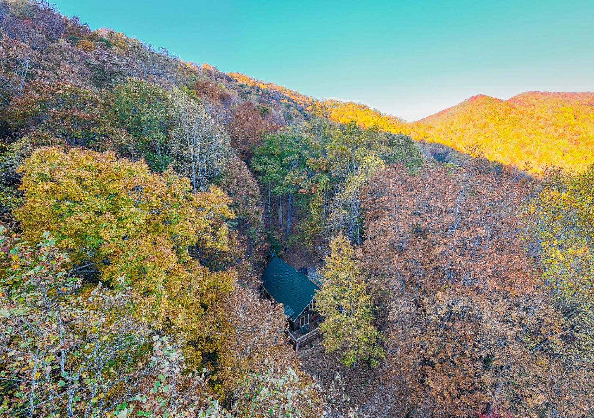 Treetops Retreat