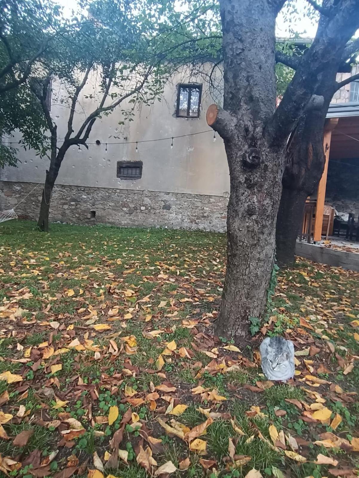 Apartments and Rooms MN, Konjic