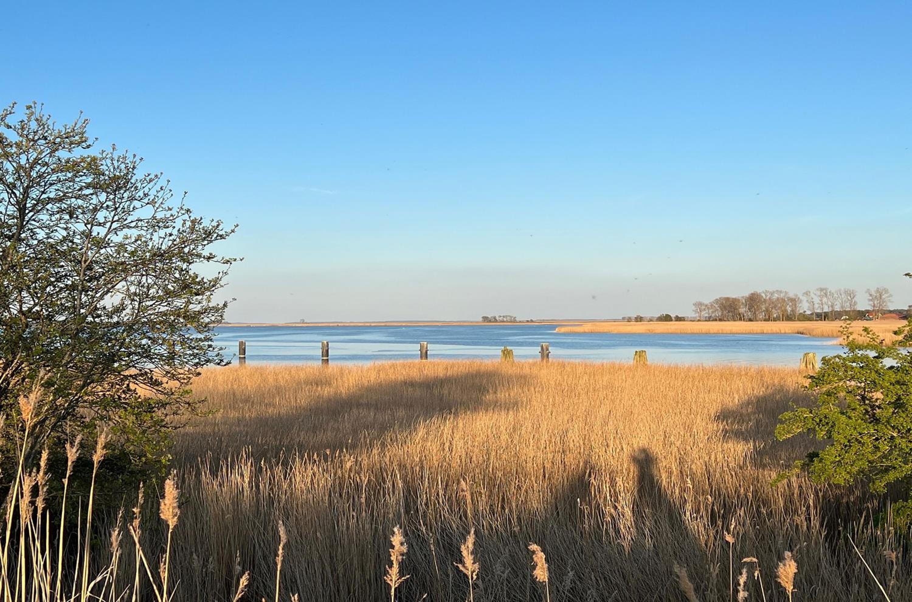 5 Sterne Ferienhaus Ostseenest mit Boddenblick