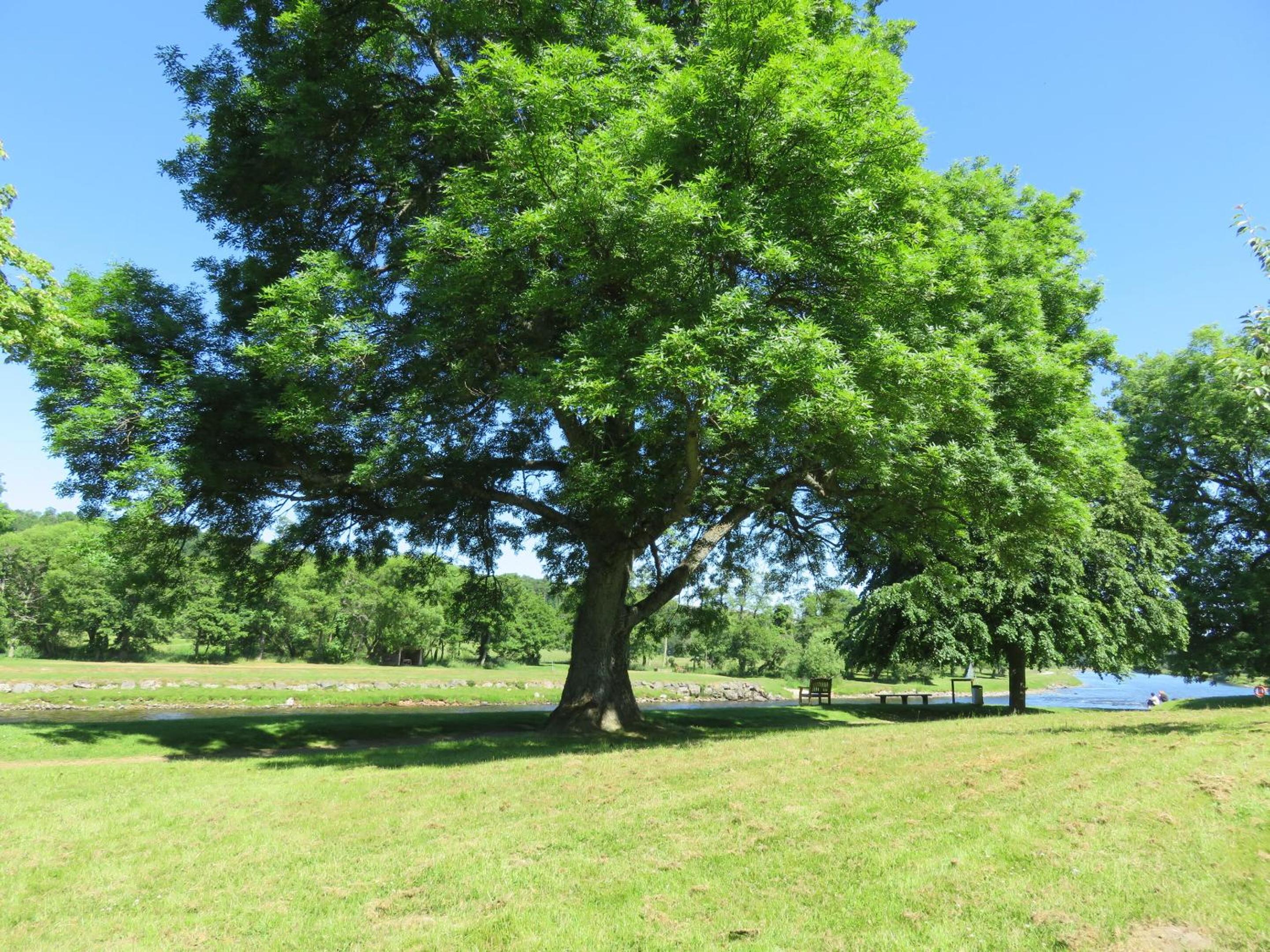 Photo 23