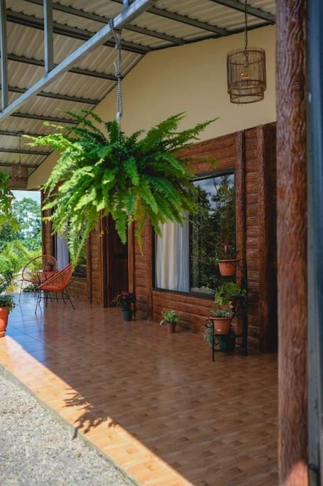cabaña tìmarama