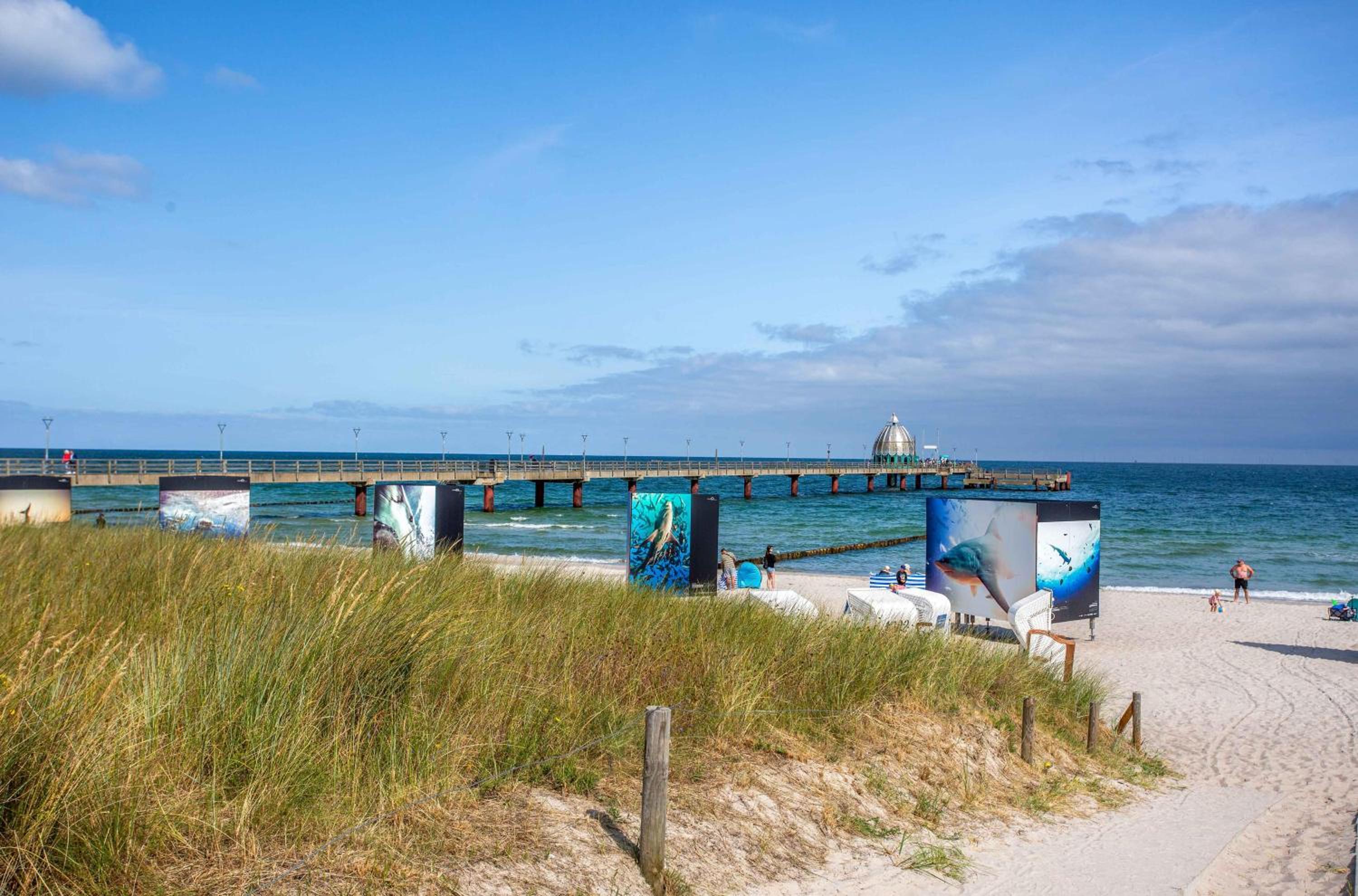 Meereswoge Zingst - 5-Sterne Erholung an der Ostseeküste