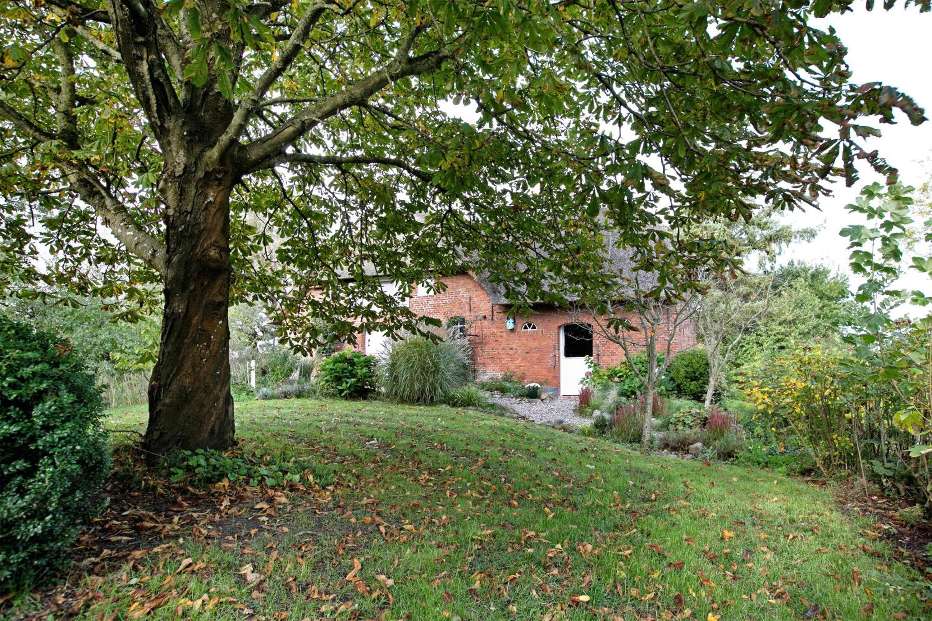 Haus am alten Deich