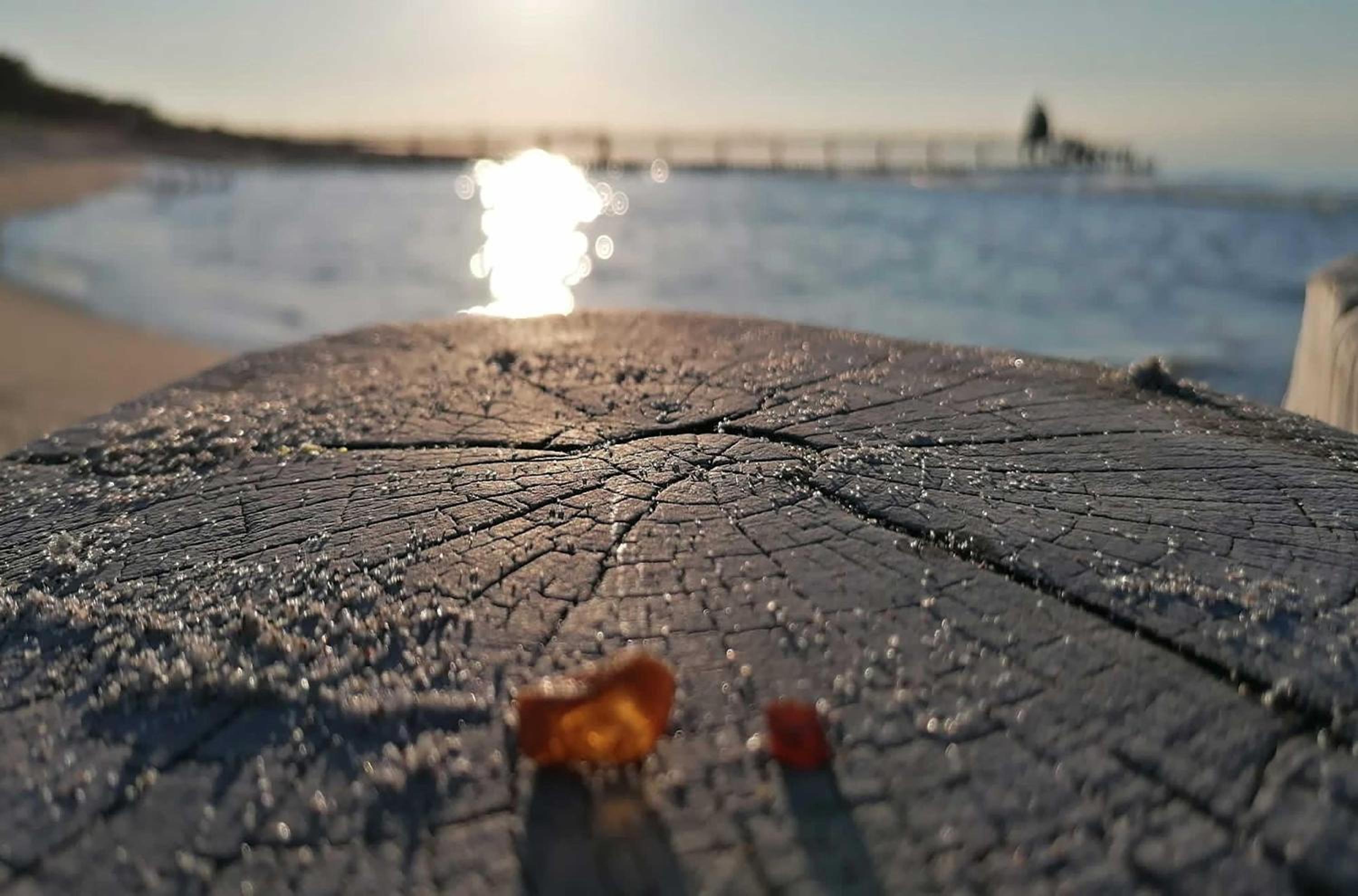 Ferienwohnung Ostseeglück Zingst inklusive Strandkorb von April-Oktober