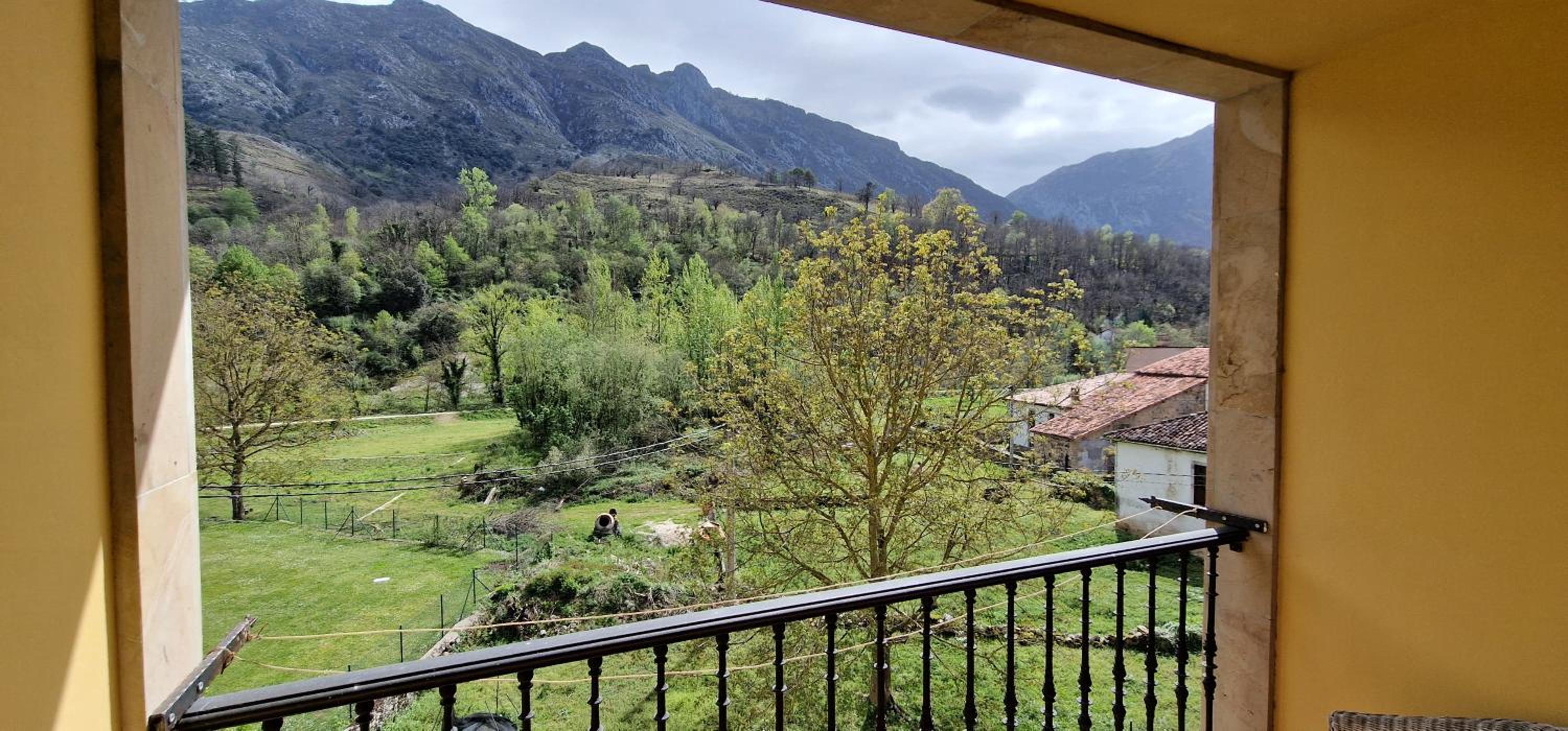 La Palma de Cabrales - AT-1501-AS