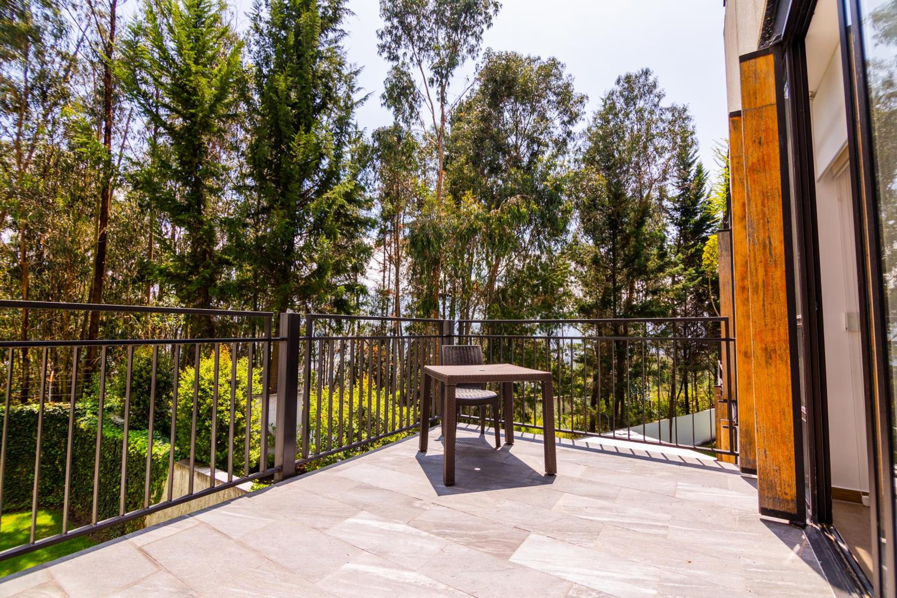 Arezzo Forest View