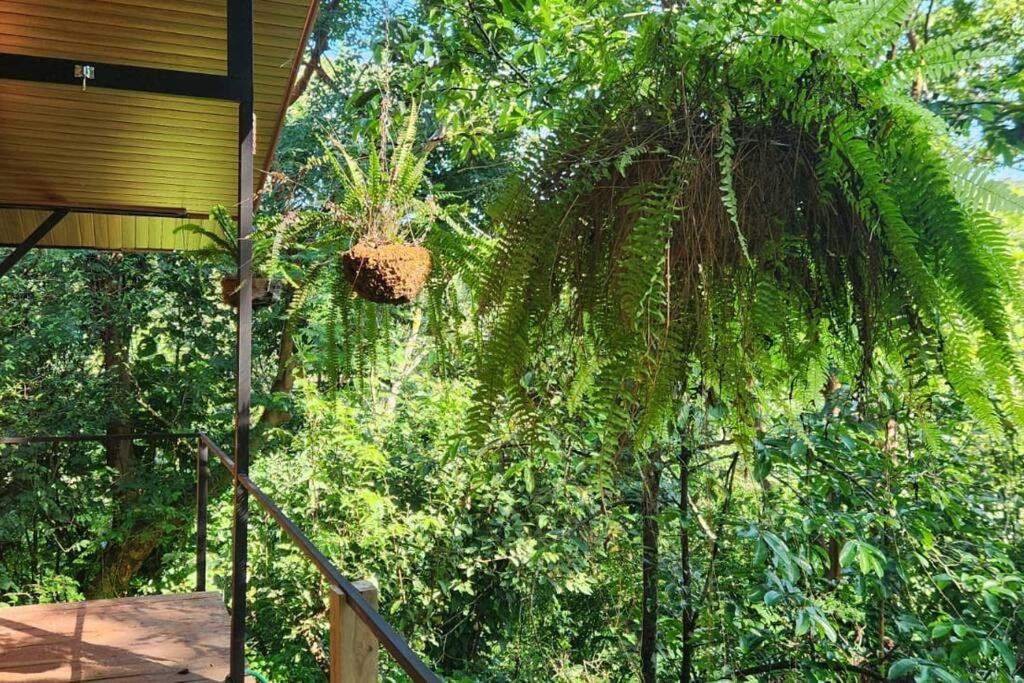 Hermosa cabaña con espacios al Aire Libre!