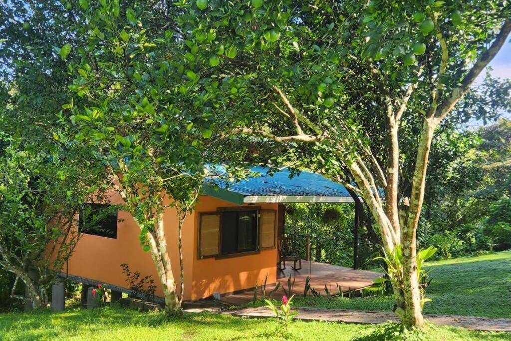 Hermosa cabaña con espacios al Aire Libre!