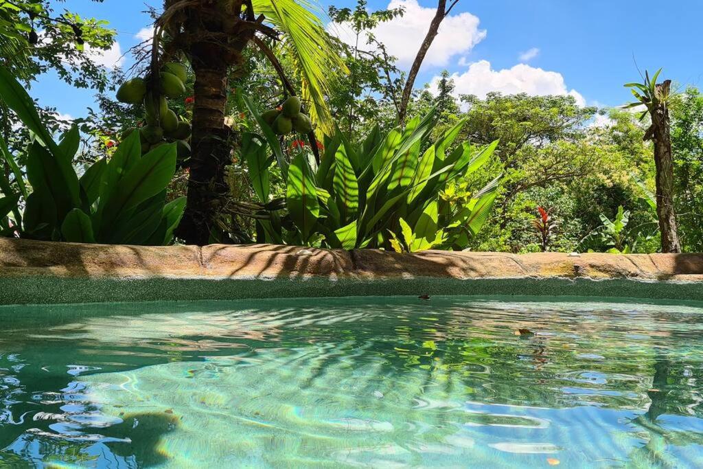 Hermosa cabaña con espacios al Aire Libre!