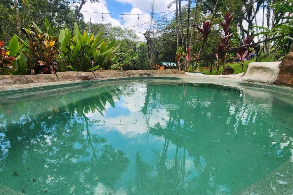 Hermosa cabaña con espacios al Aire Libre!