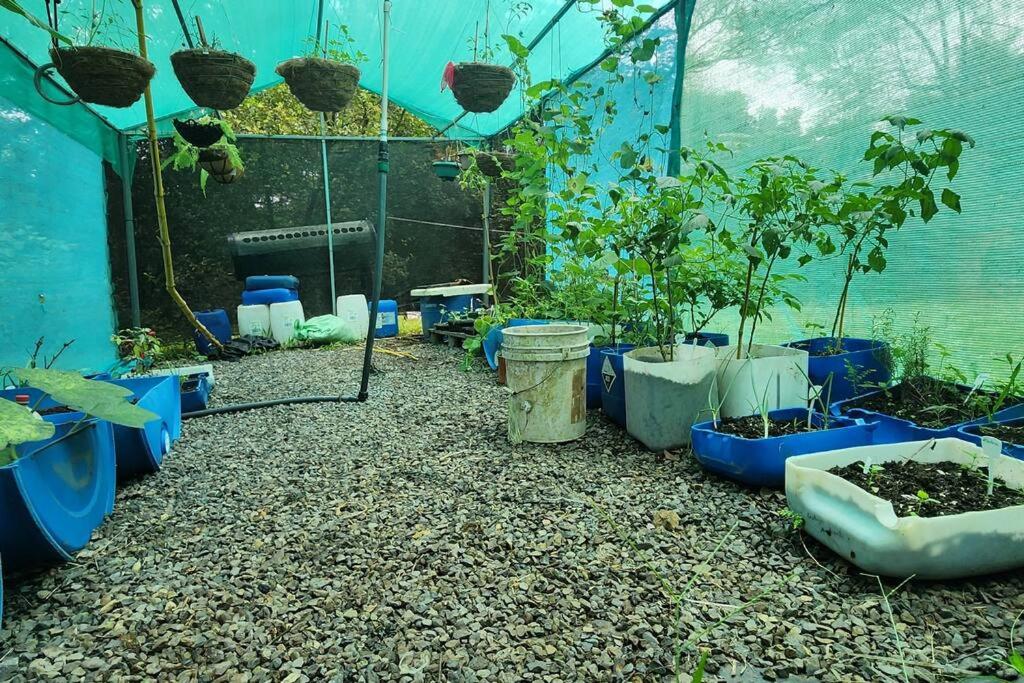 Hermosa cabaña con espacios al Aire Libre!