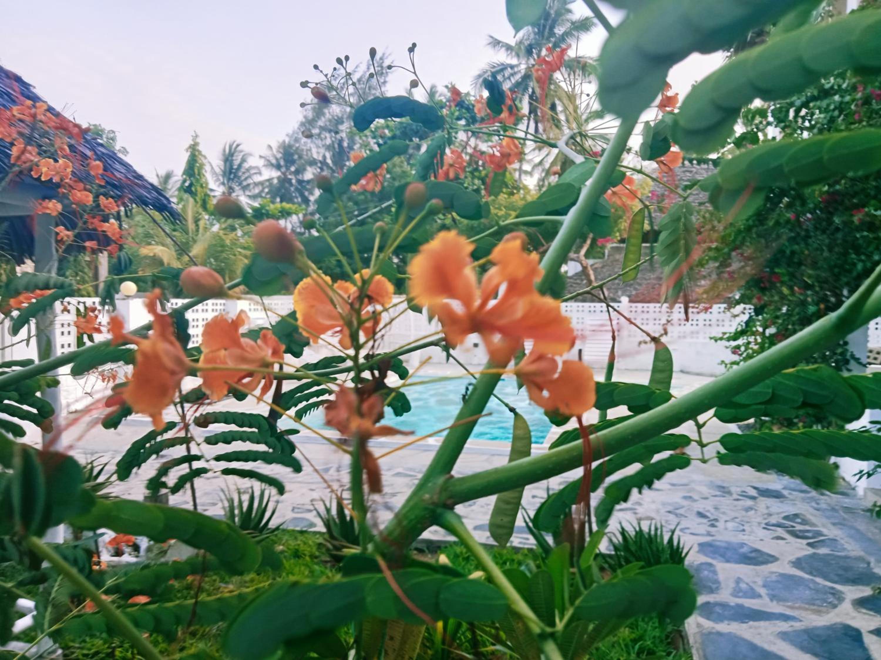 Hideaway villa watamu