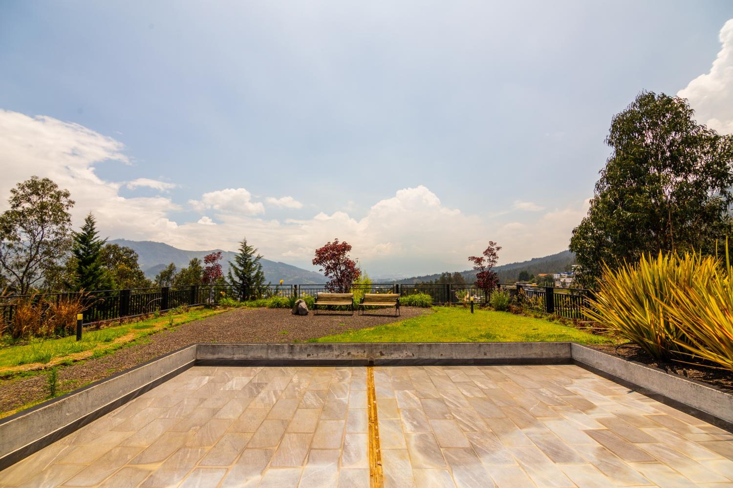 Arezzo Forest View