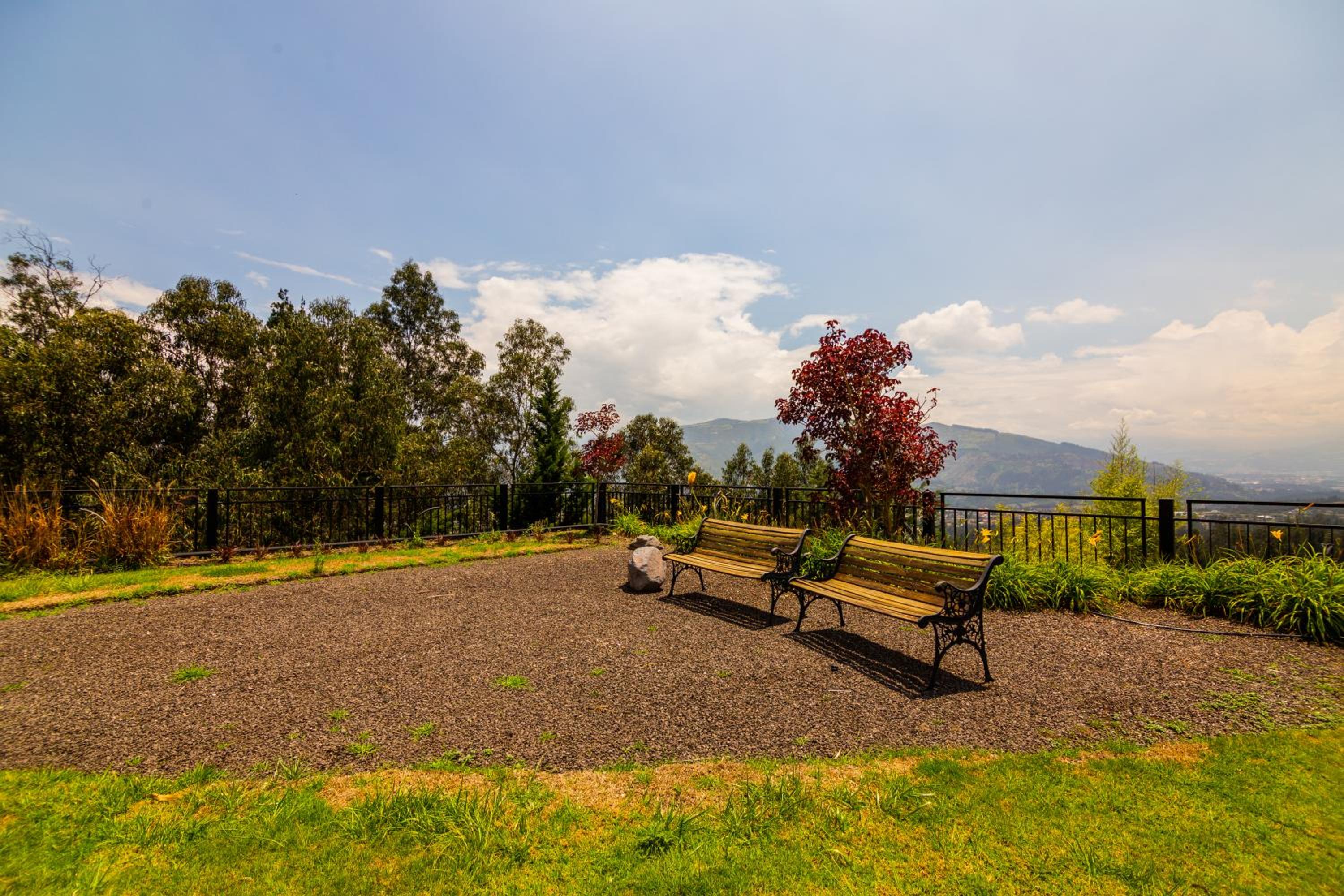 Arezzo Forest View